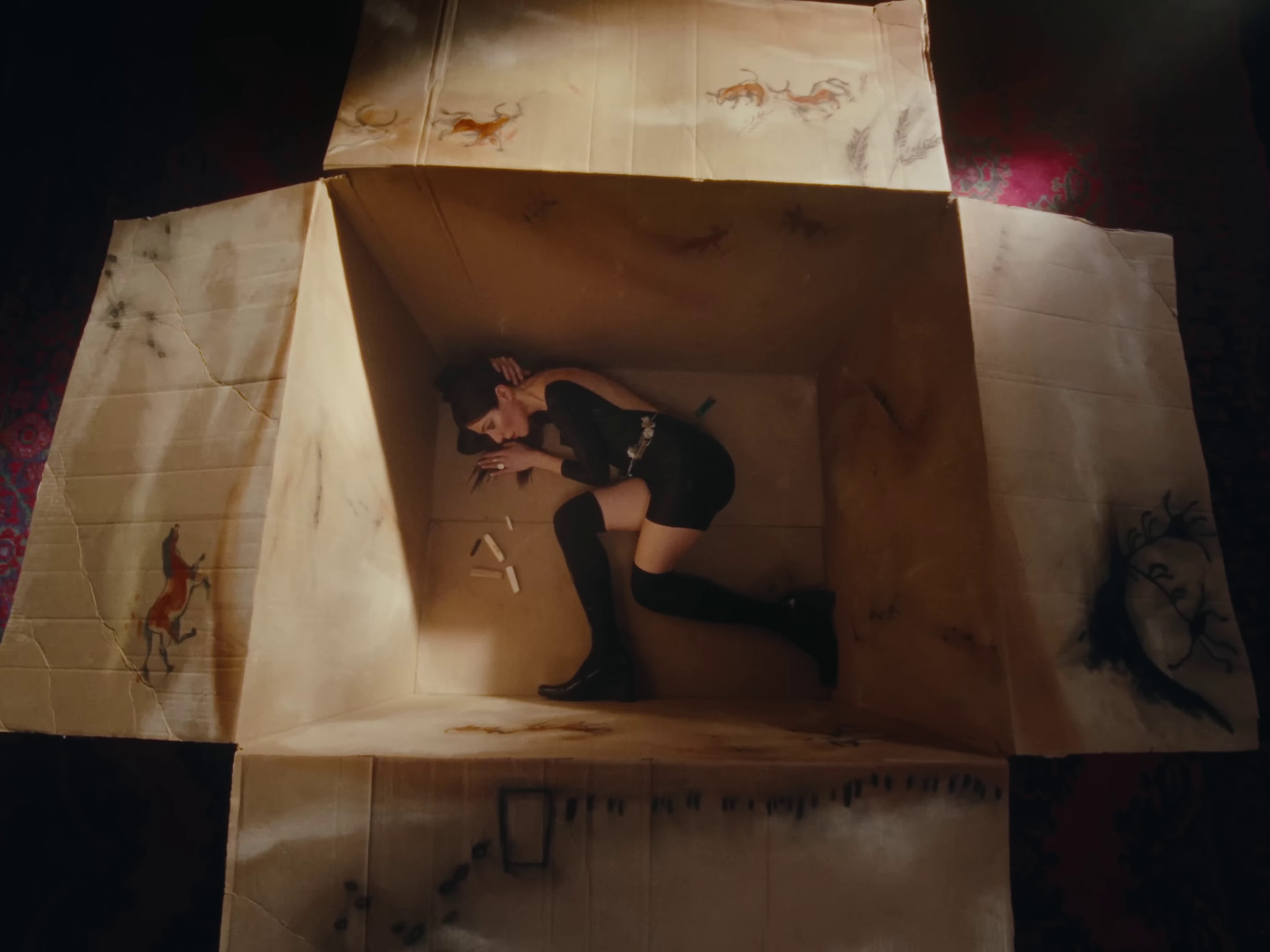 Welcome to my island  (2022) —  shot,  lighting