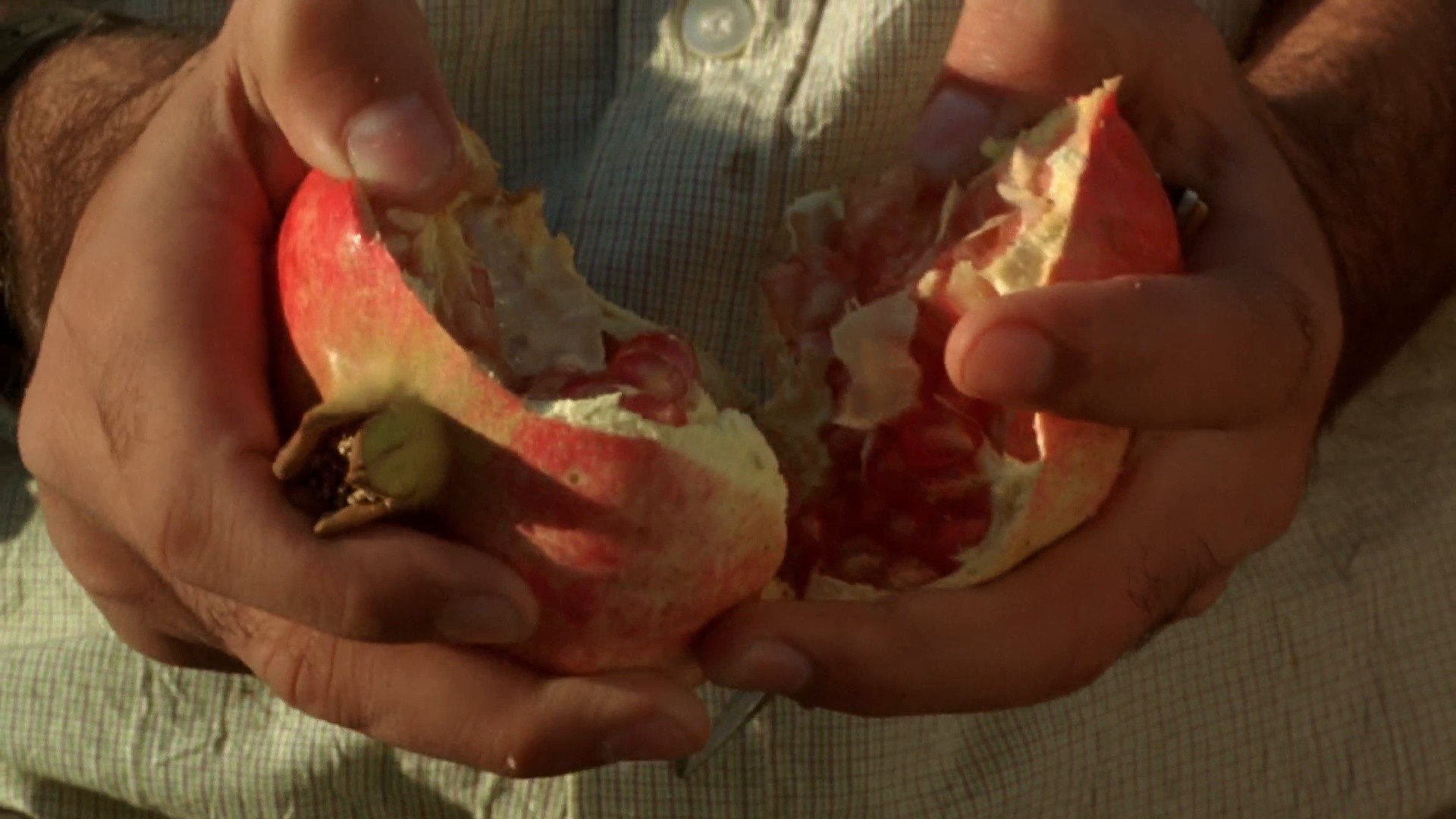 Süt (2010) —  shot,  lighting