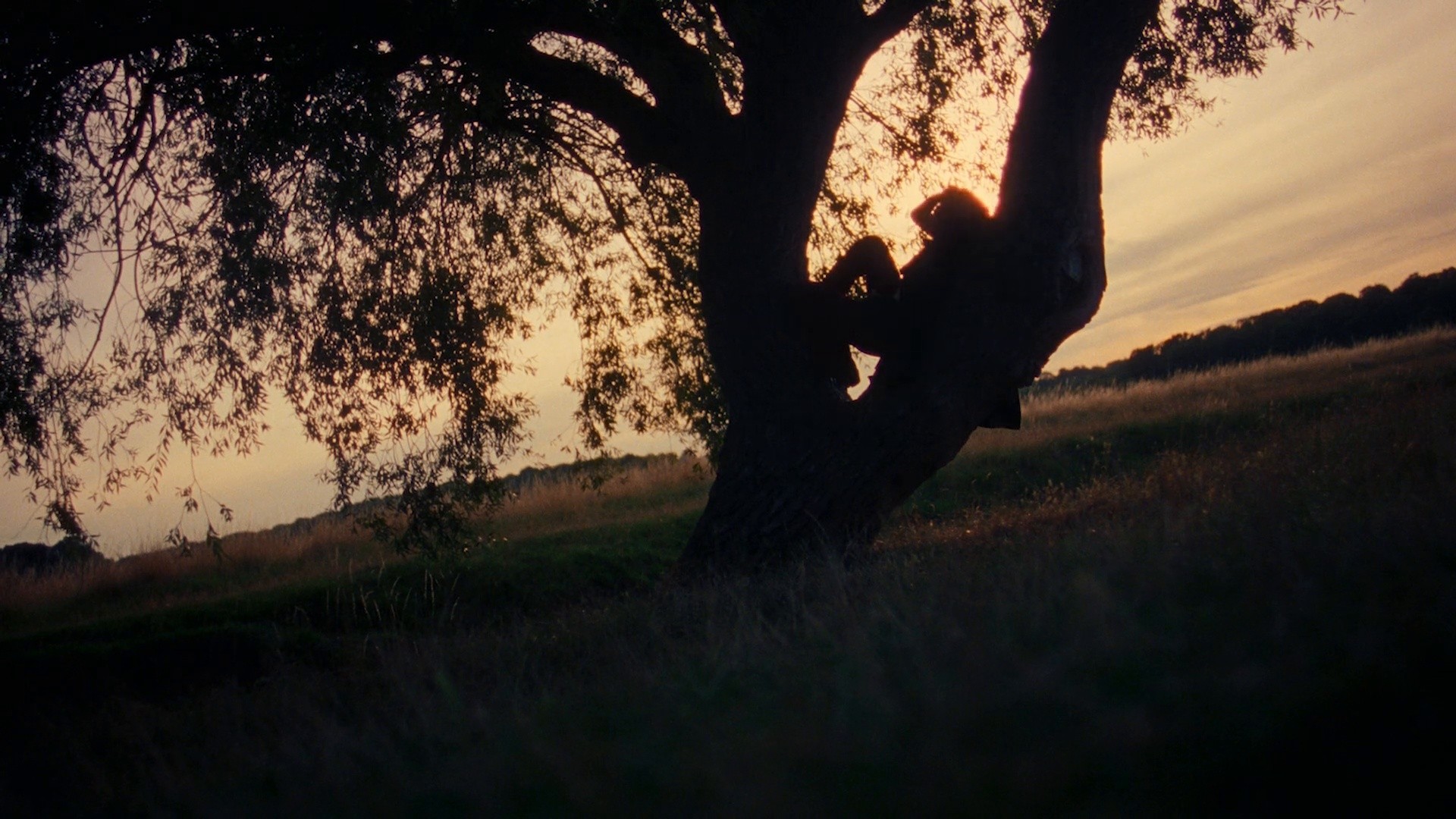 070 Shake | Natural Habitat (dir. Machine Operated) (2023) —  shot,  lighting