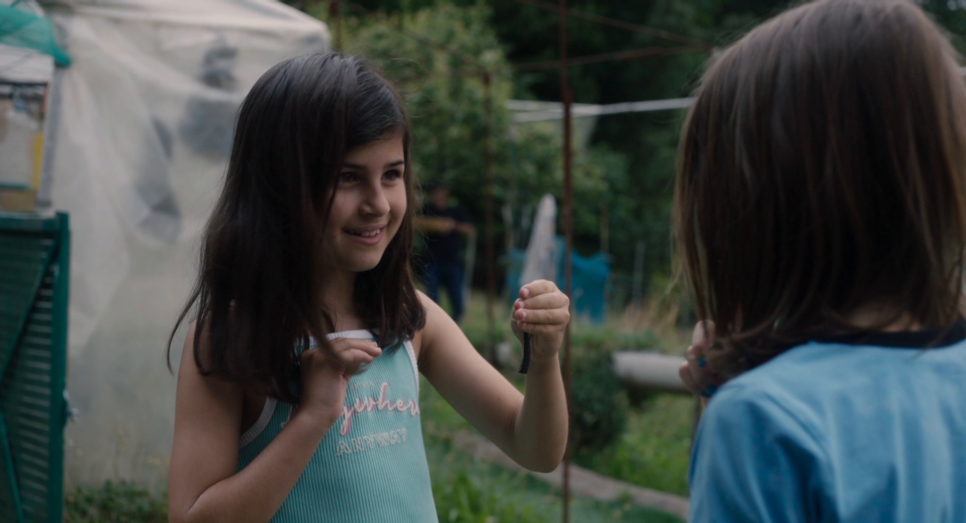 20,000 Species of Bees (2023) —  shot,  lighting