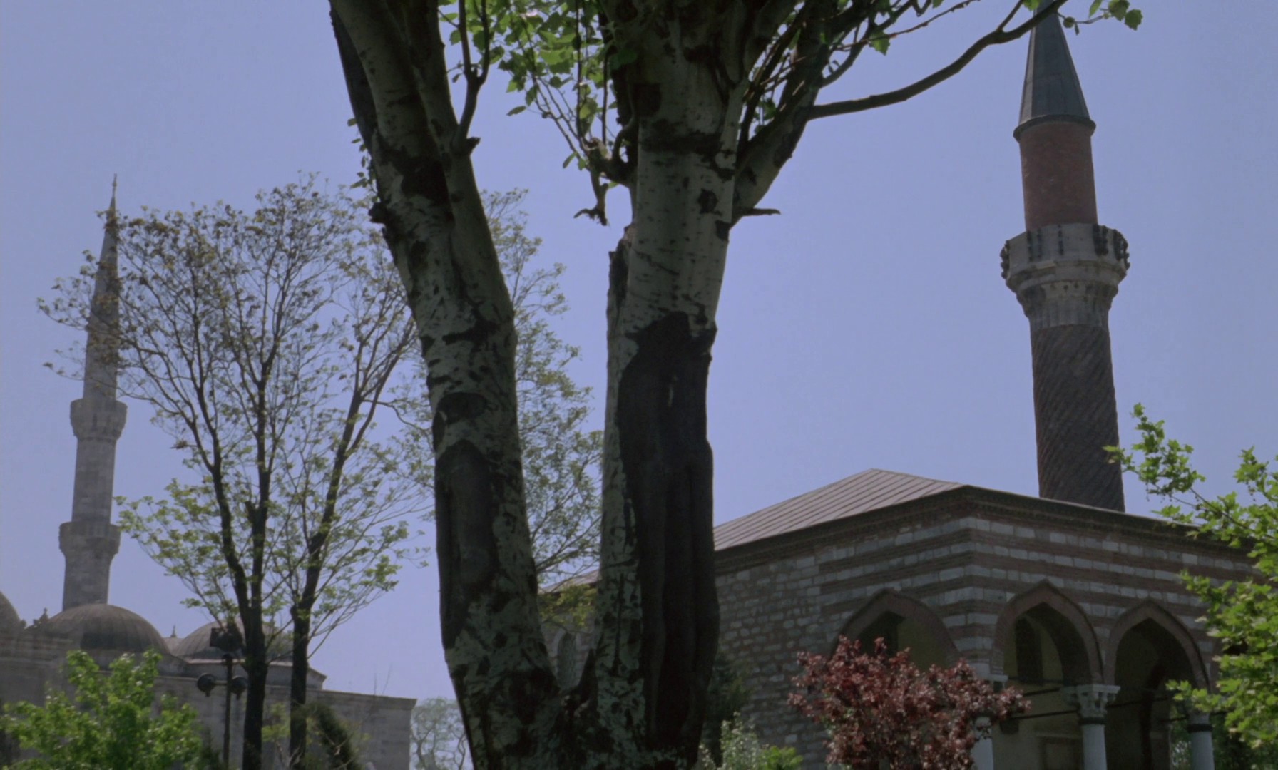 Vampyros Lesbos (1971) —  shot,  lighting