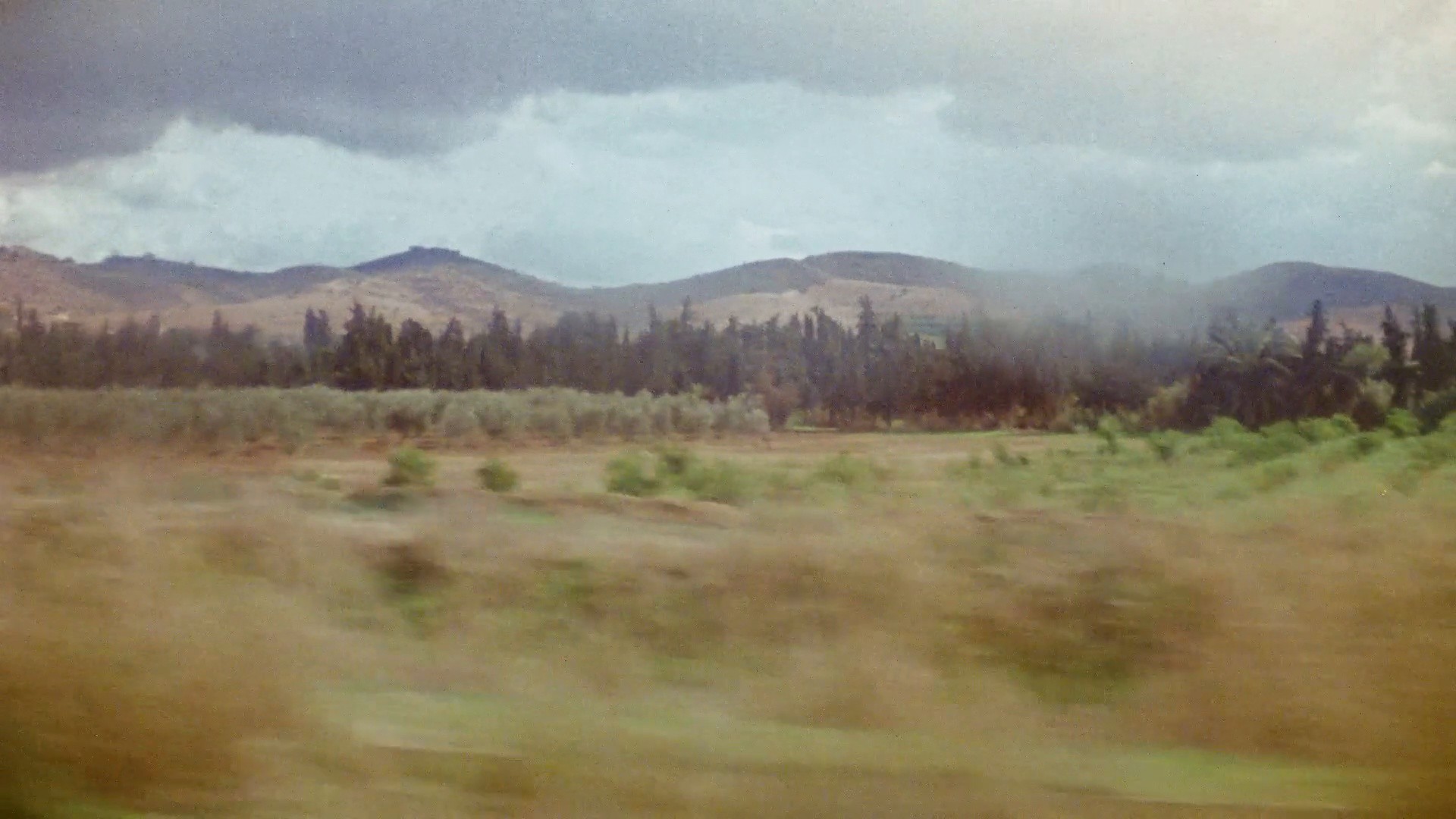 Omo - My Algeria (DC) (2024) —  shot,  lighting