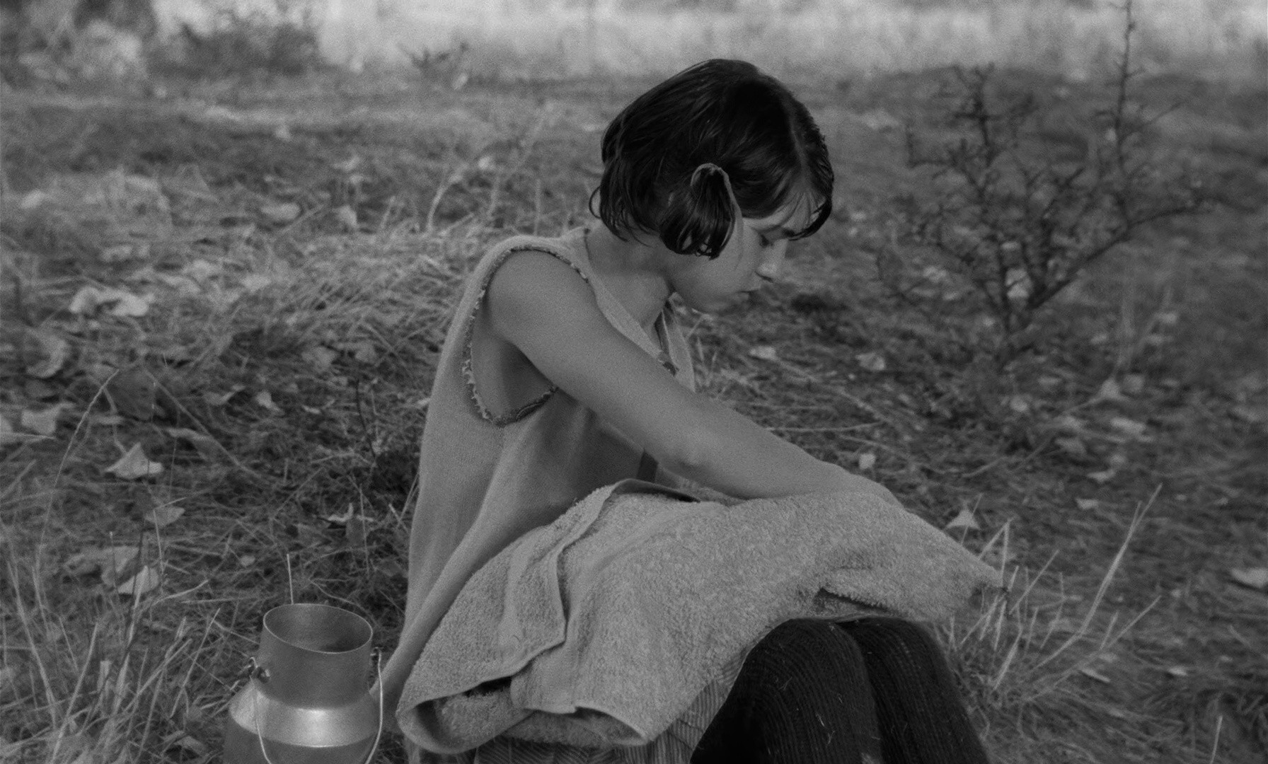 Mouchette (1969) —  shot,  lighting