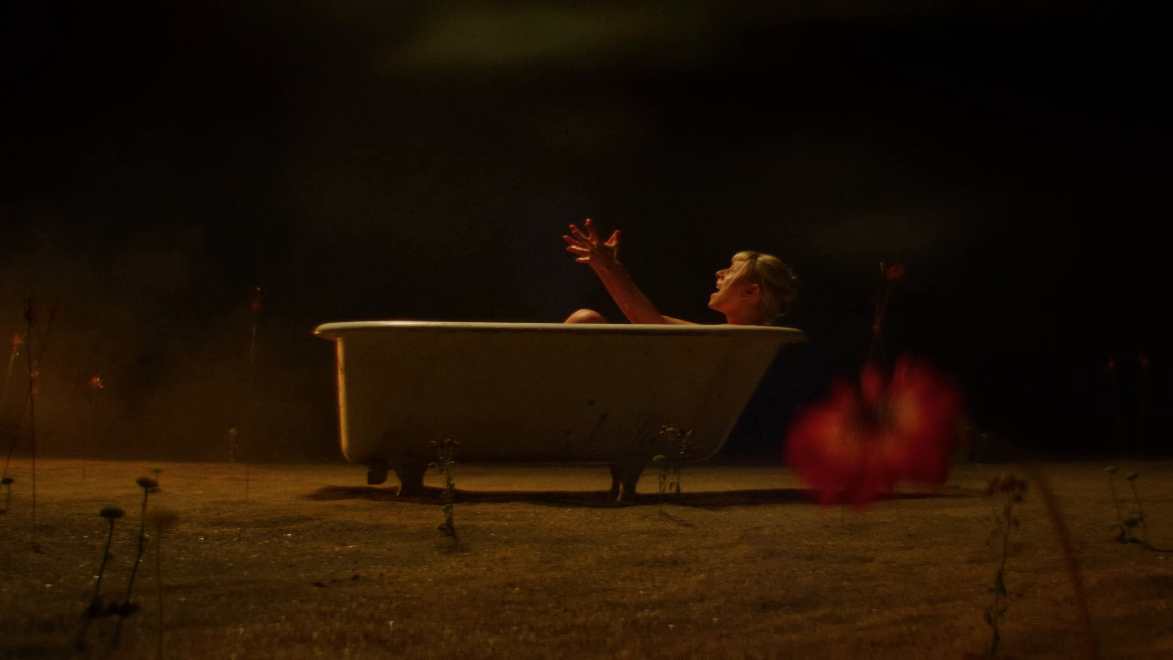 Starvation (2024) —  shot,  lighting