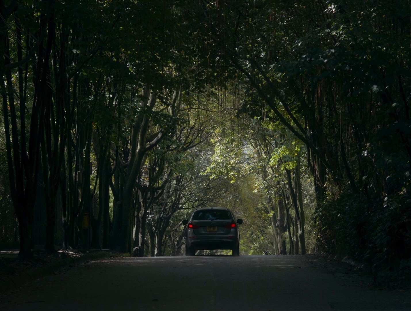 Pepe (2024) —  shot,  lighting