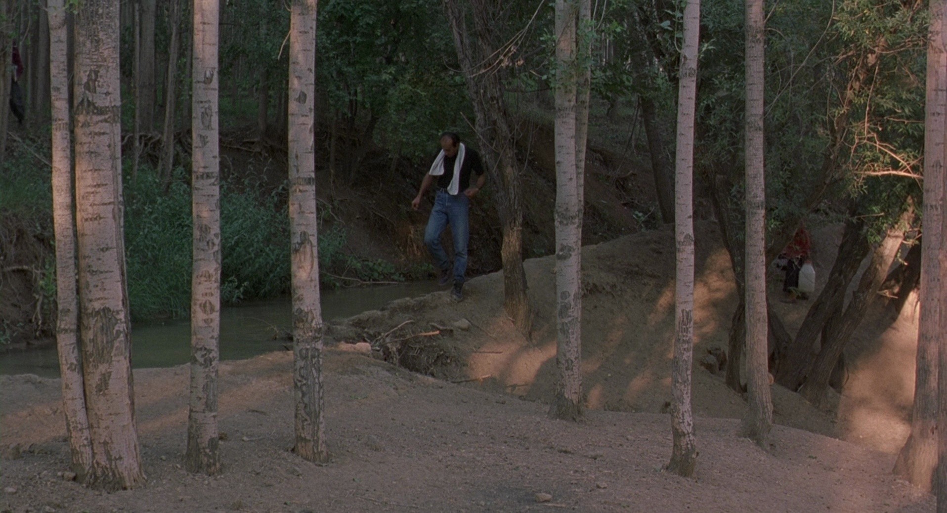 The Wind Will Carry Us (2000) —  shot,  lighting