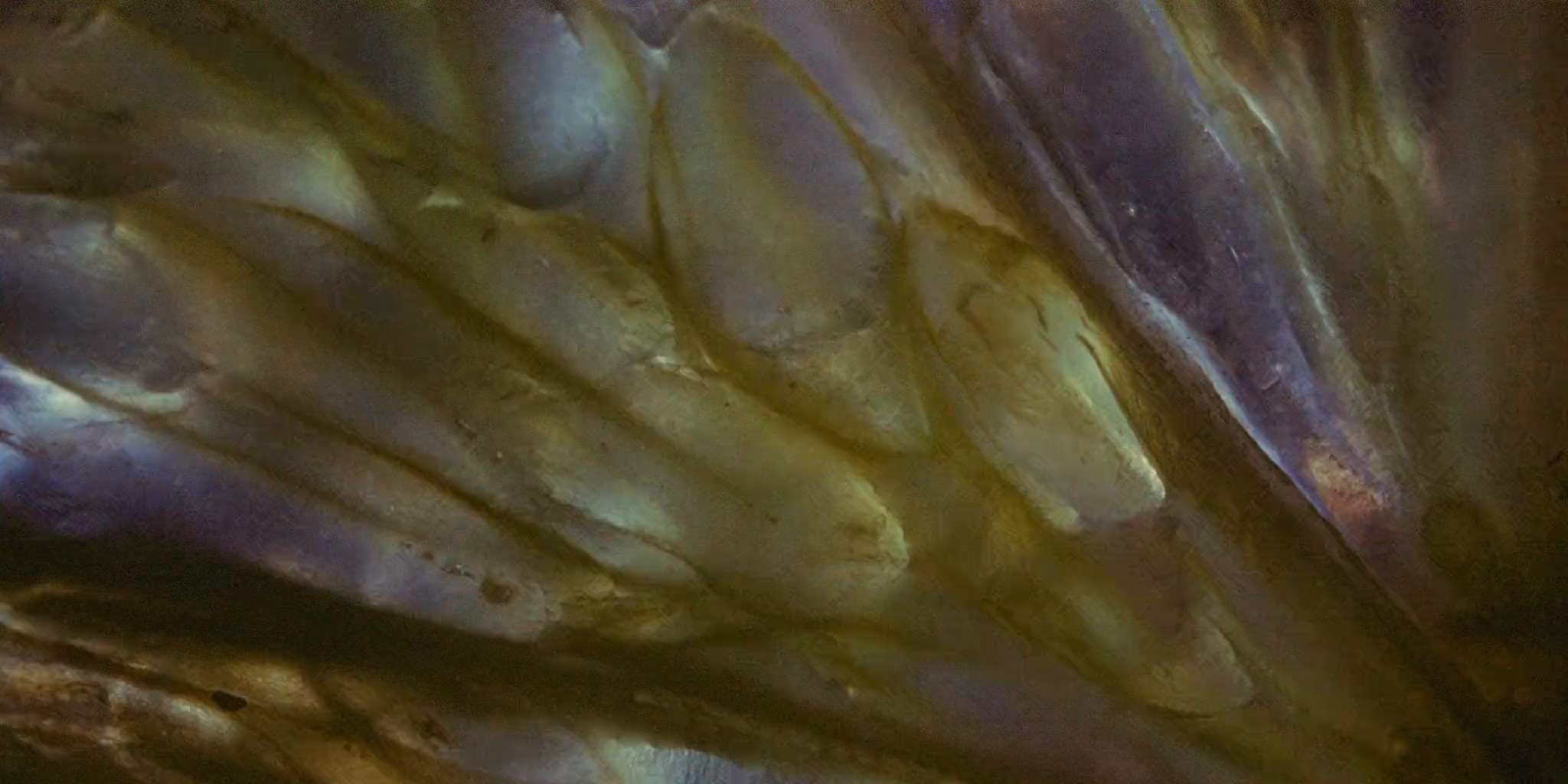 JIM BEAM - ON THE ROCKS (2024) —  shot,  lighting