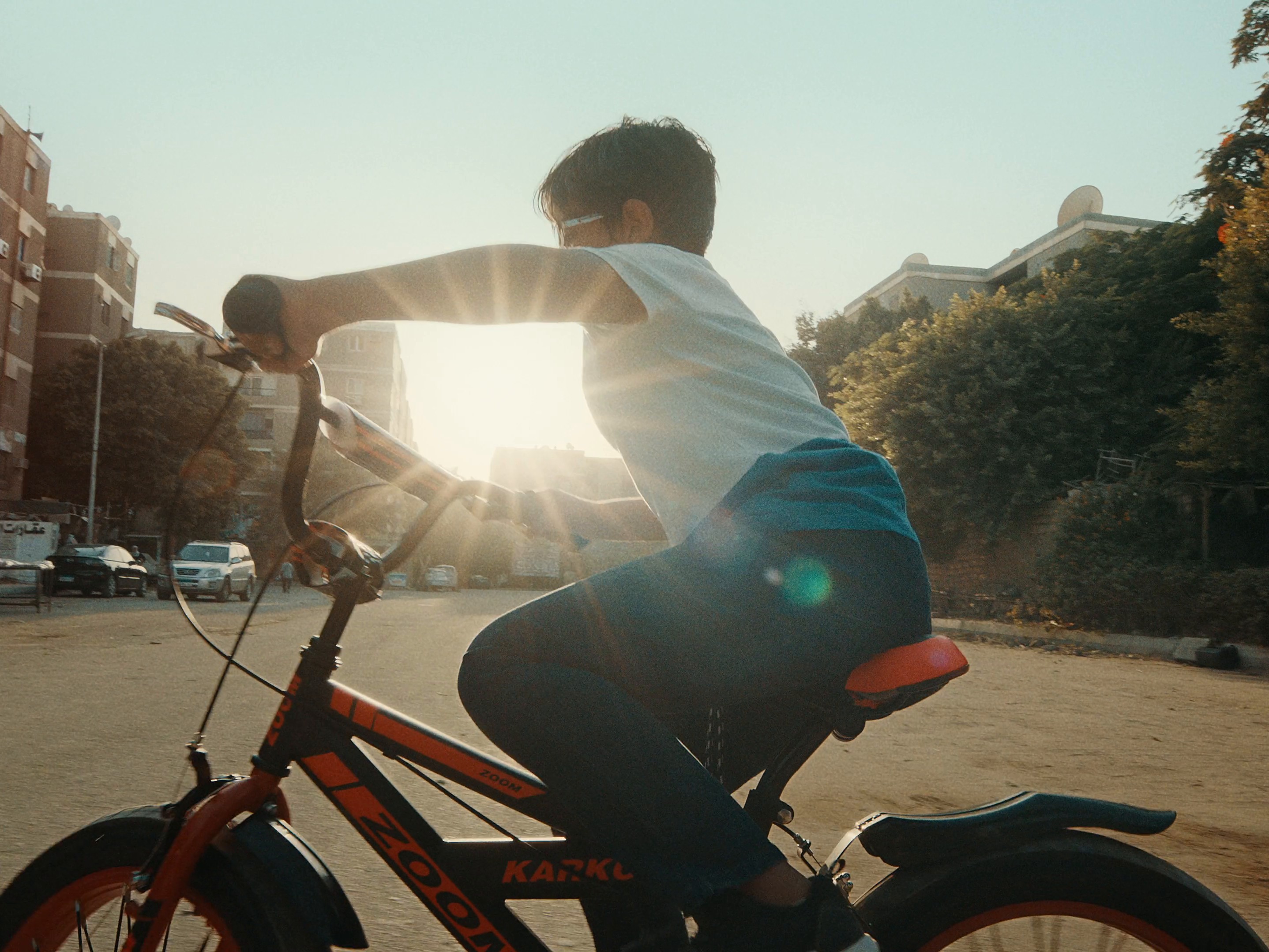 It starts with a scar (2021) —  shot,  lighting