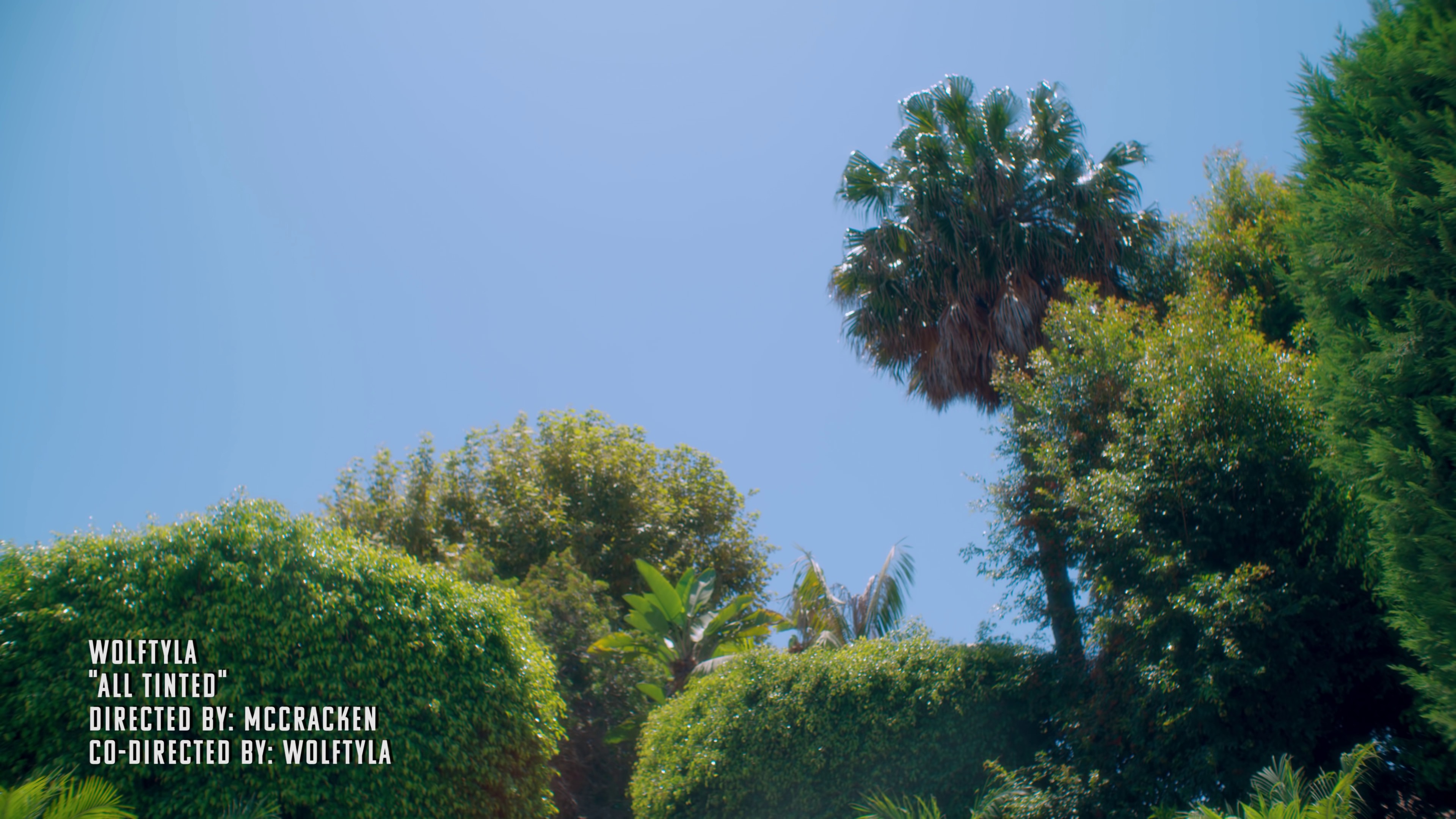 All Tinted  (2019) —  shot,  lighting