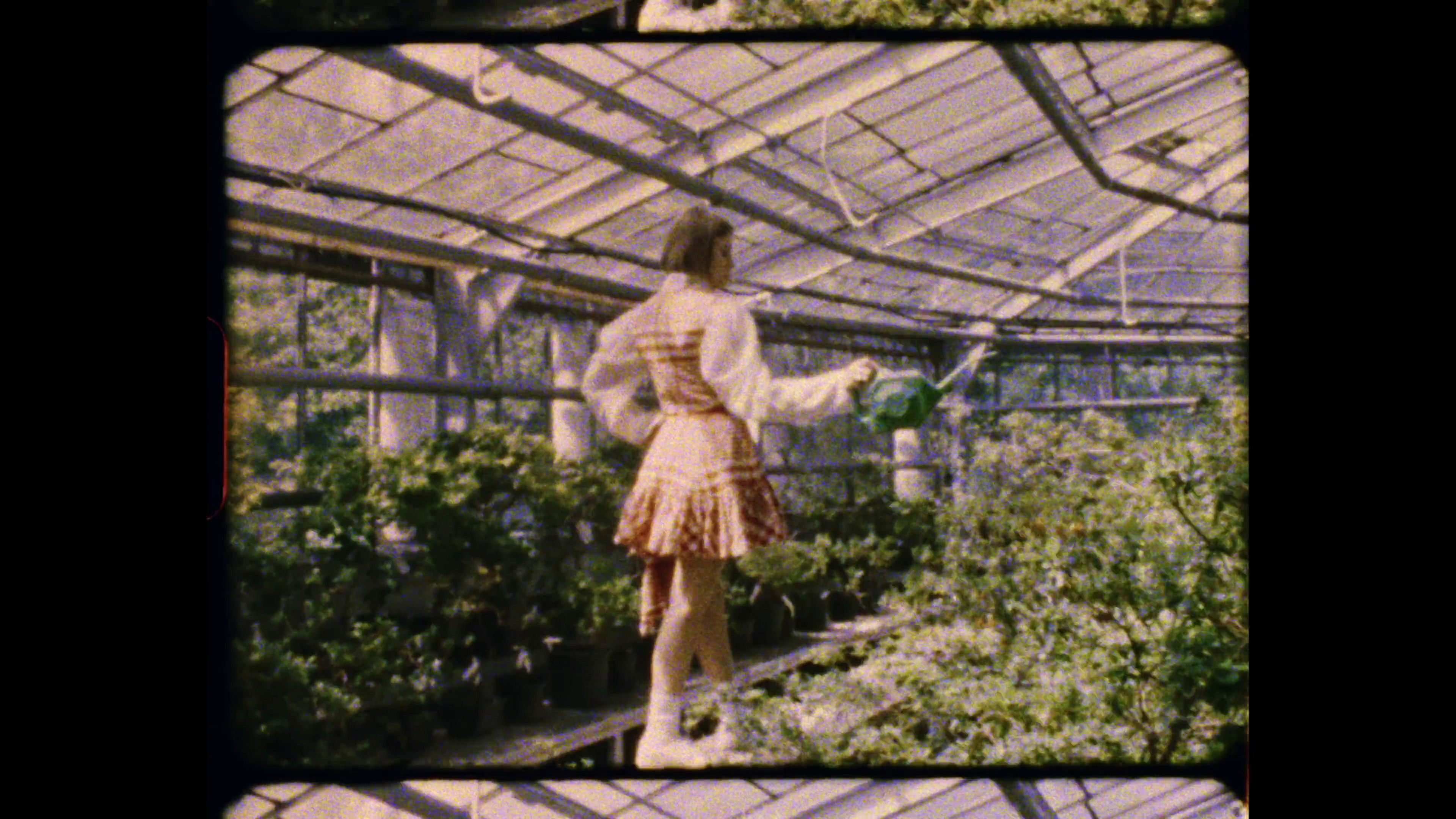 Live at Conservatory (2022) —  shot,  lighting