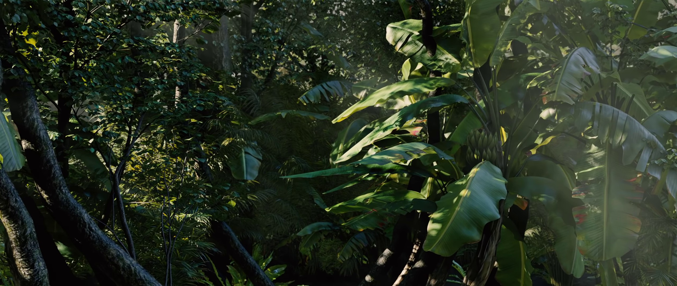 Palaces (2022) —  shot,  lighting