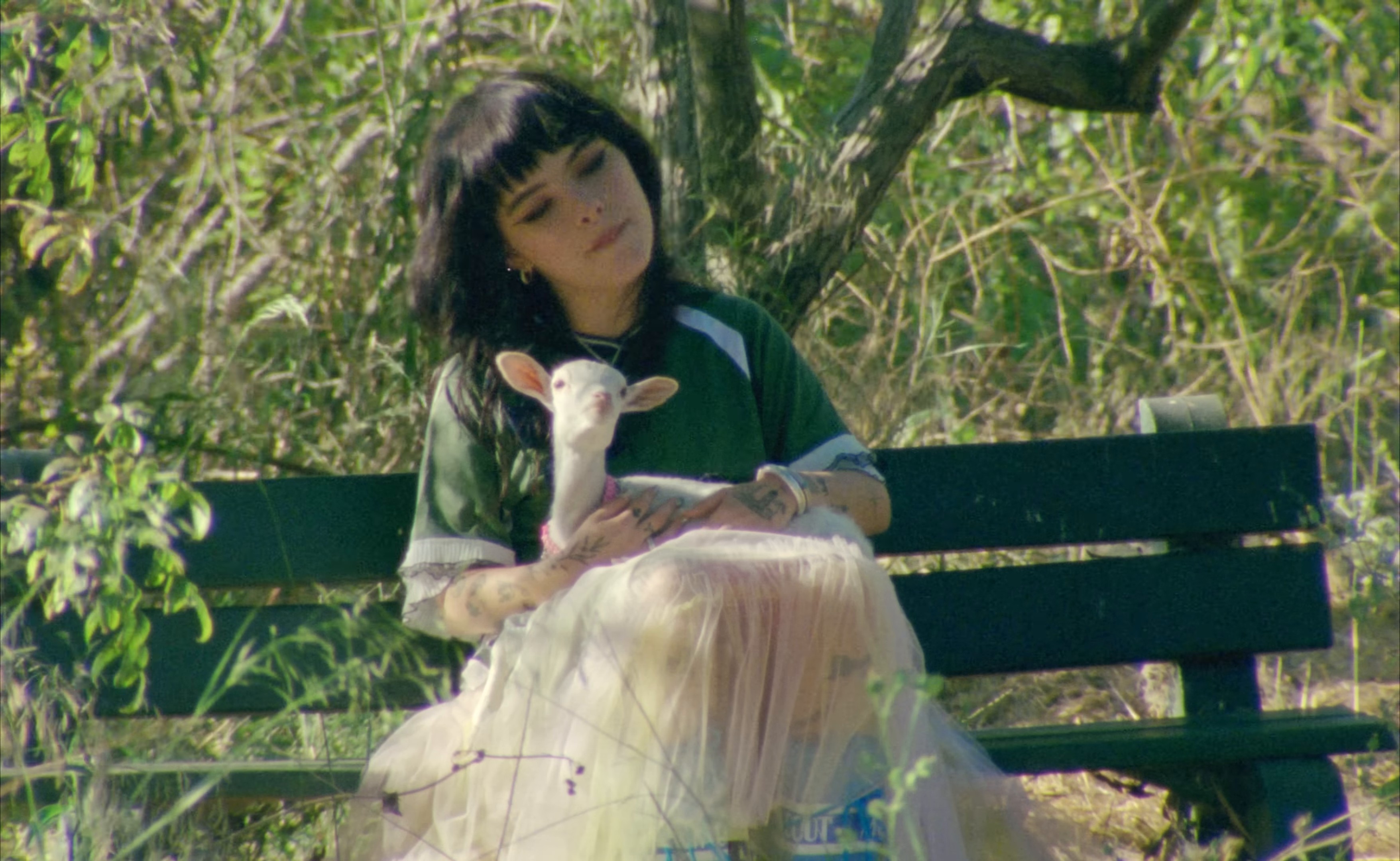 Sad Boiii (2024) —  shot,  lighting