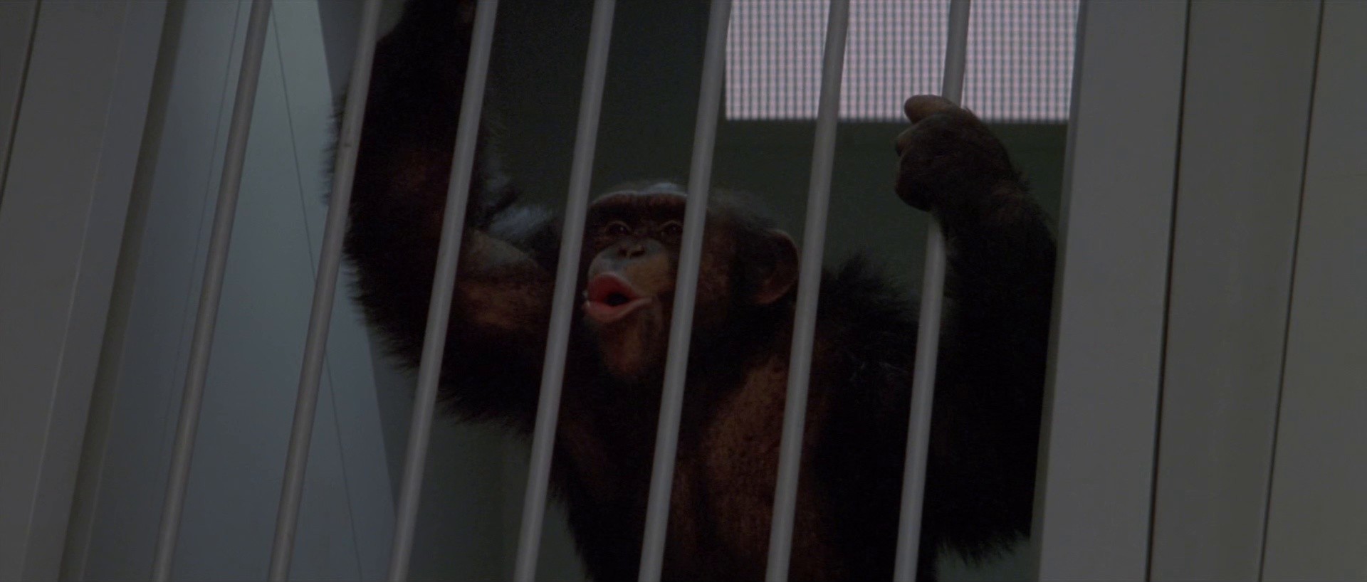 Planet of the Apes (2001) —  shot,  lighting