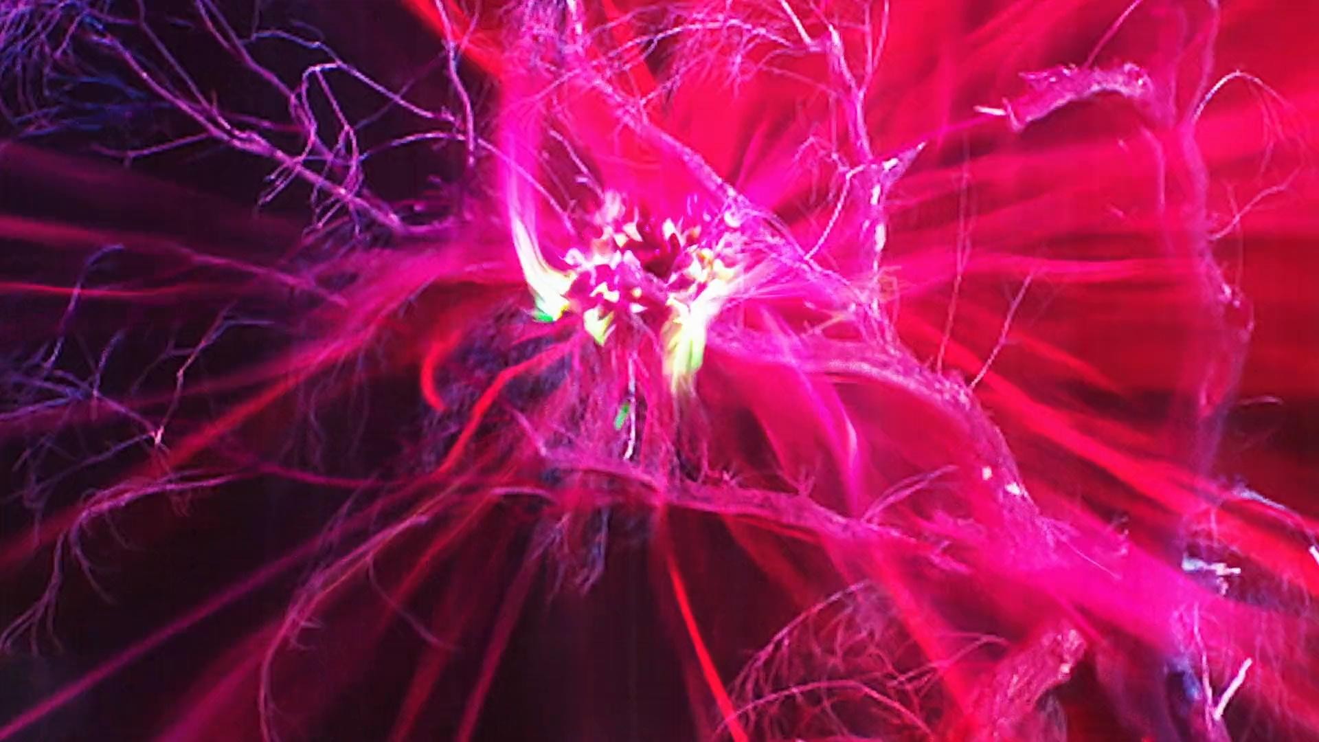 Fenty x Savage Vol. 4 | Lara (2022) —  shot,  lighting