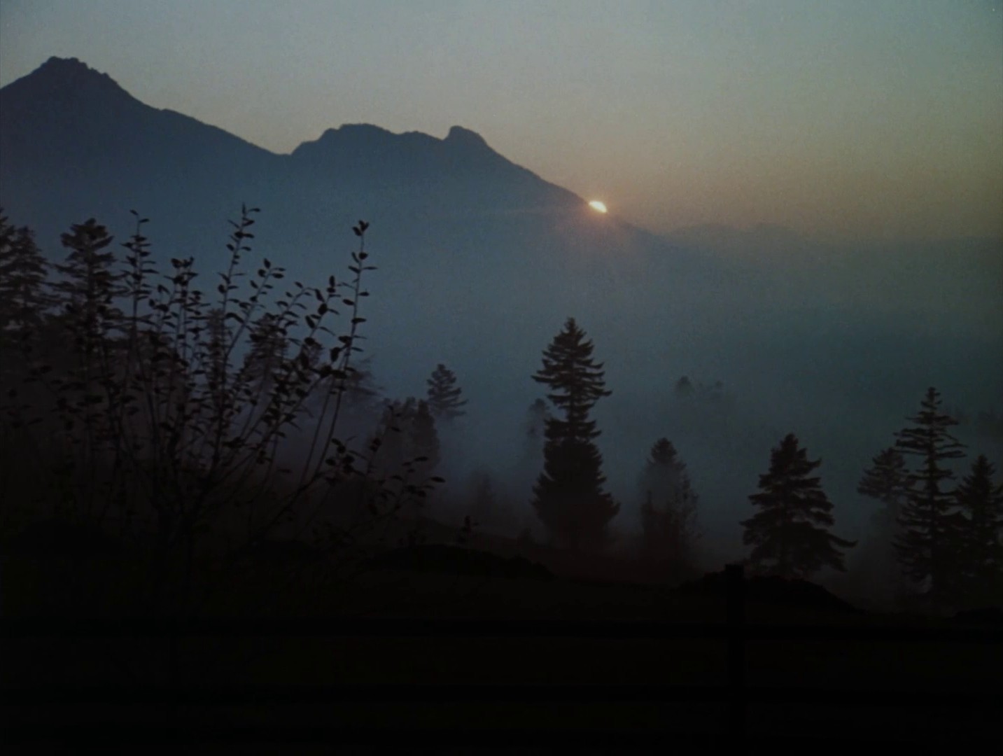 The Millennial Bee (1984) —  shot,  lighting