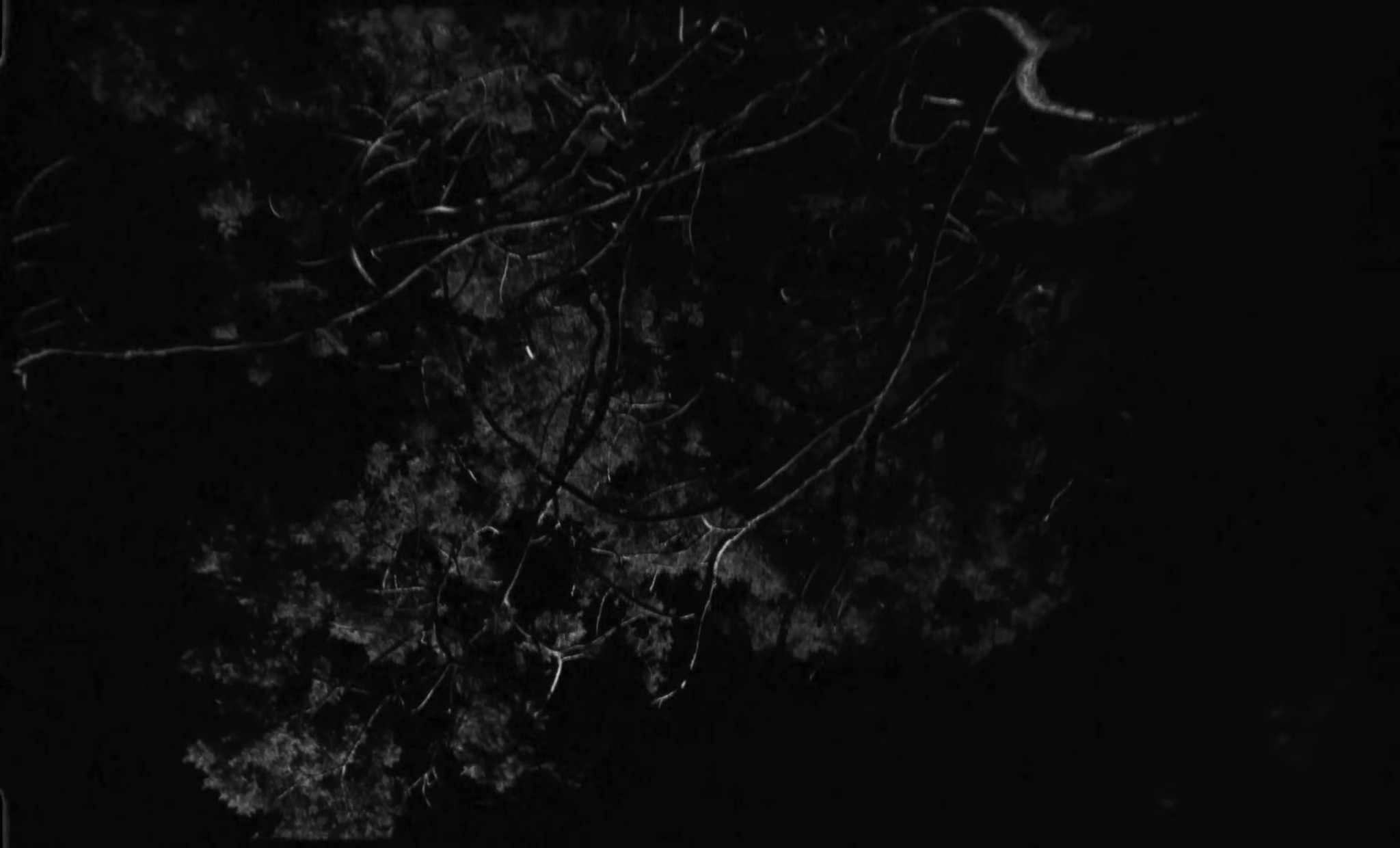 Night Or Day (2024) —  shot,  lighting