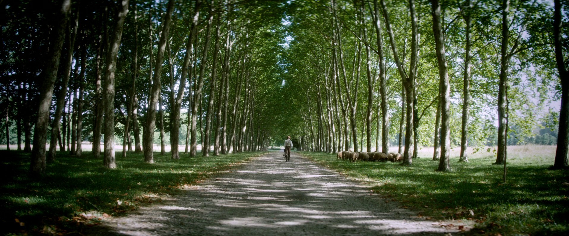 Lost Illusions (2021) —  shot,  lighting