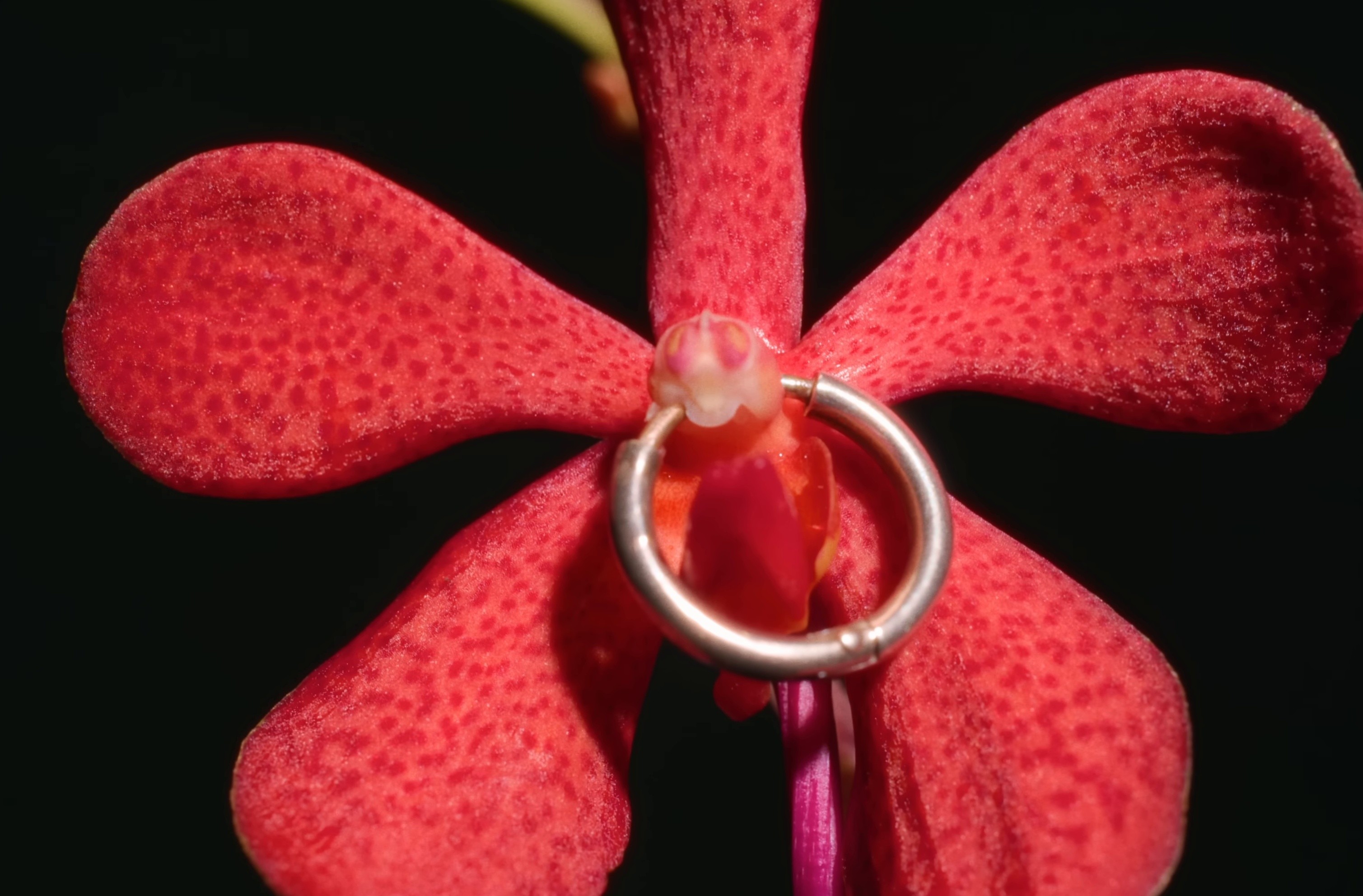 Nằm Bên Anh (2025) —  shot,  lighting