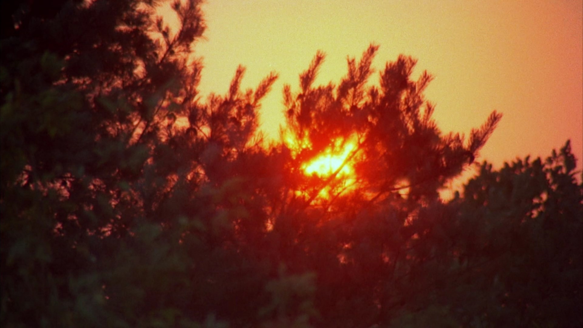 Baron Blood (1972) —  shot,  lighting