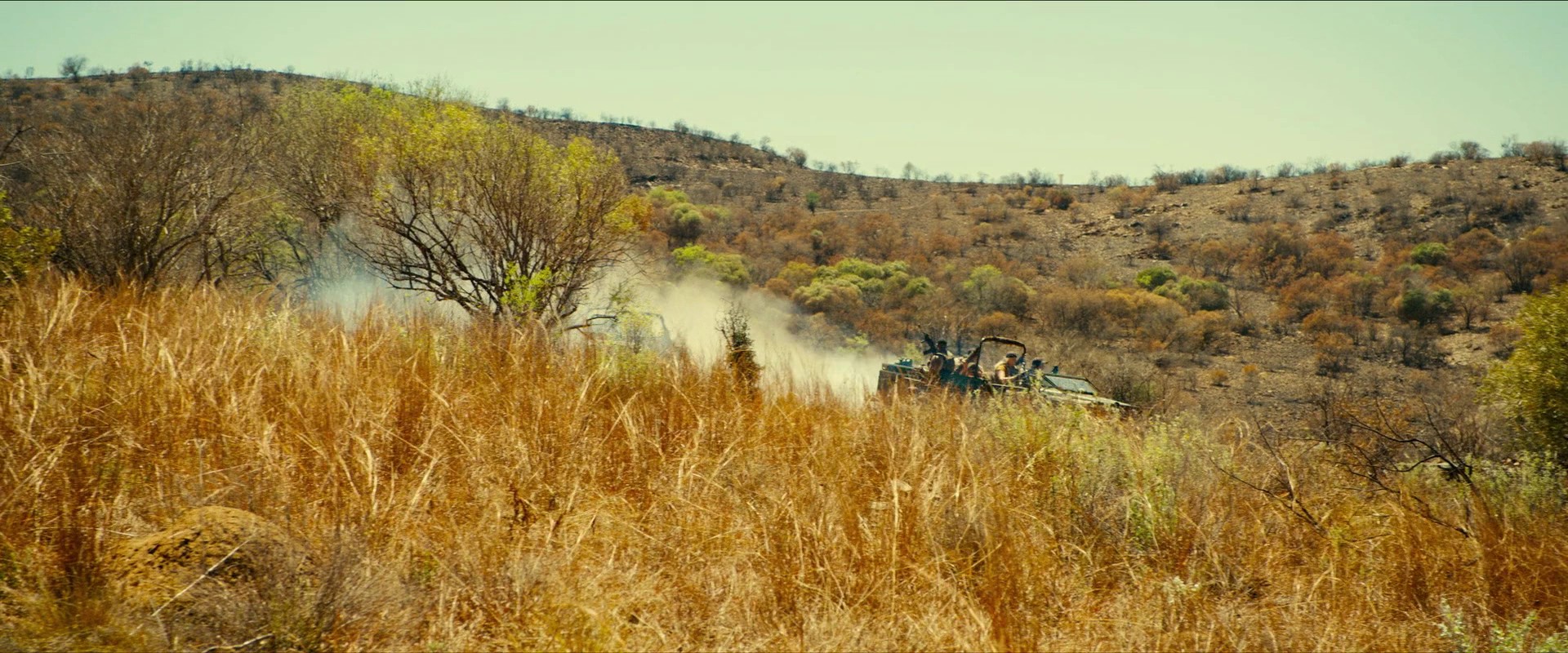 Rogue (2020) —  shot,  lighting