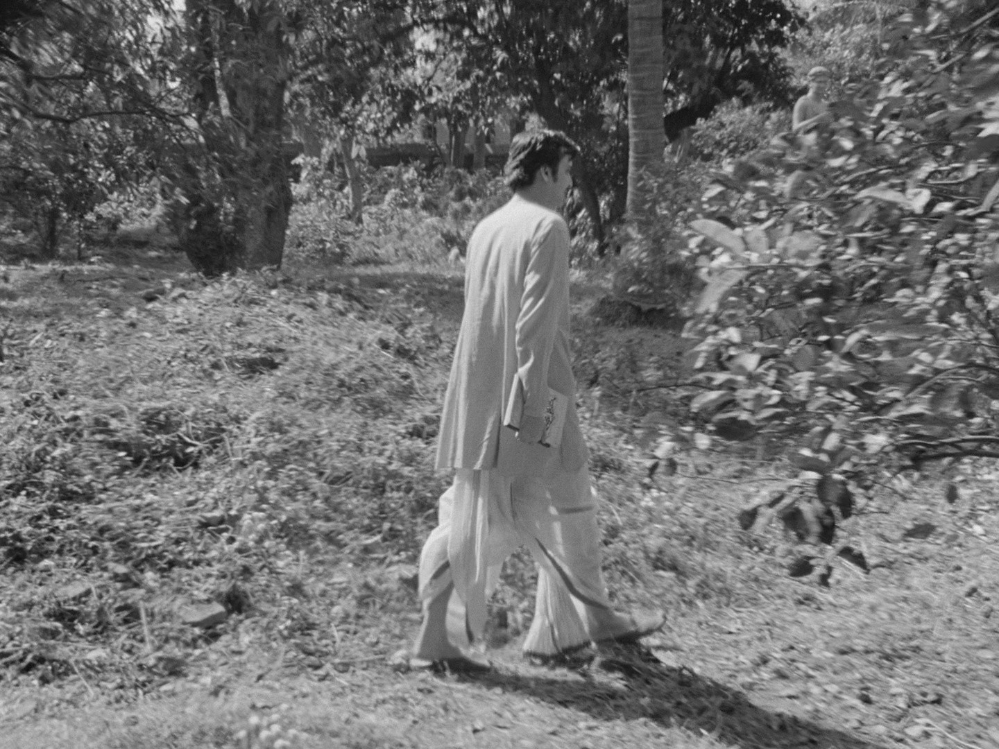 Charulata (1964) —  shot,  lighting