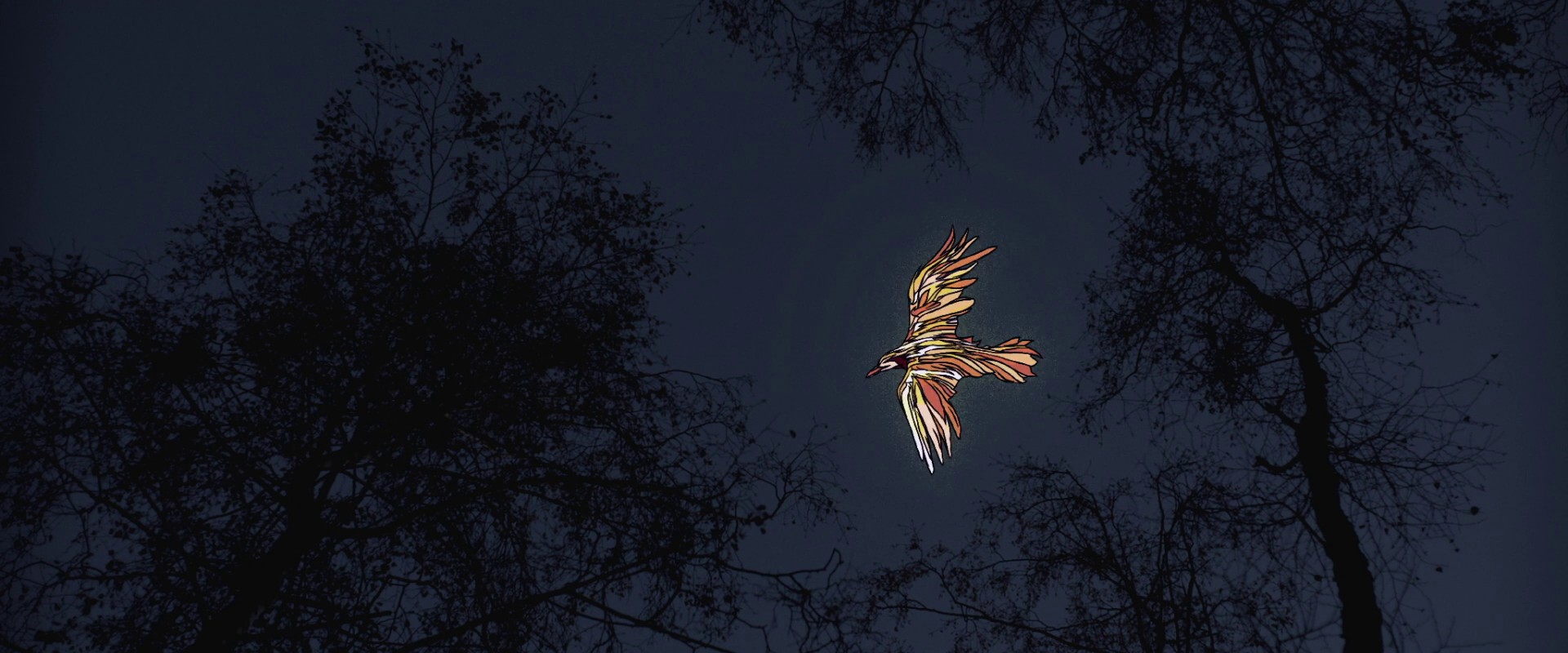 Eden (2014) —  shot,  lighting