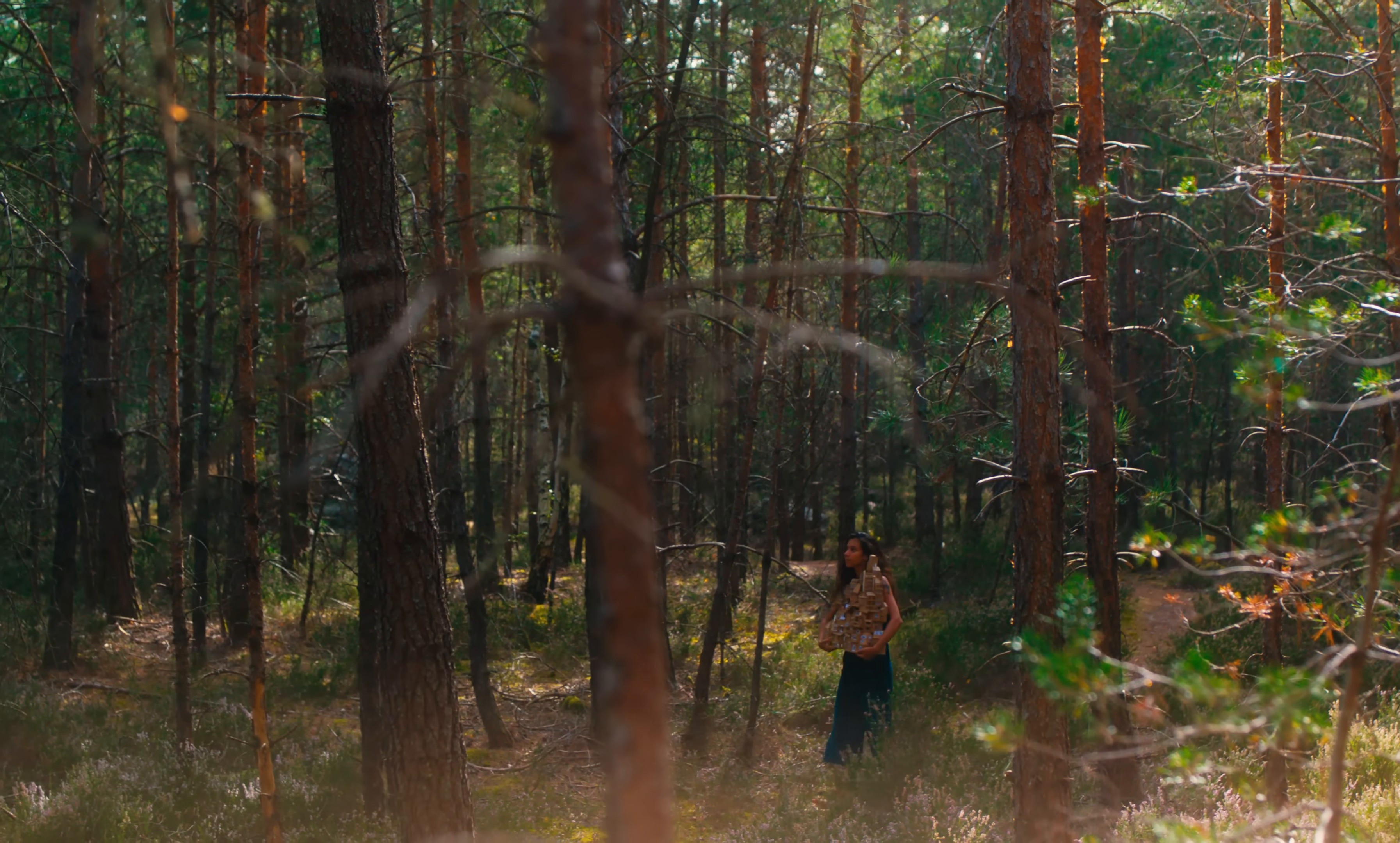 Valparaiso (2023) —  shot,  lighting