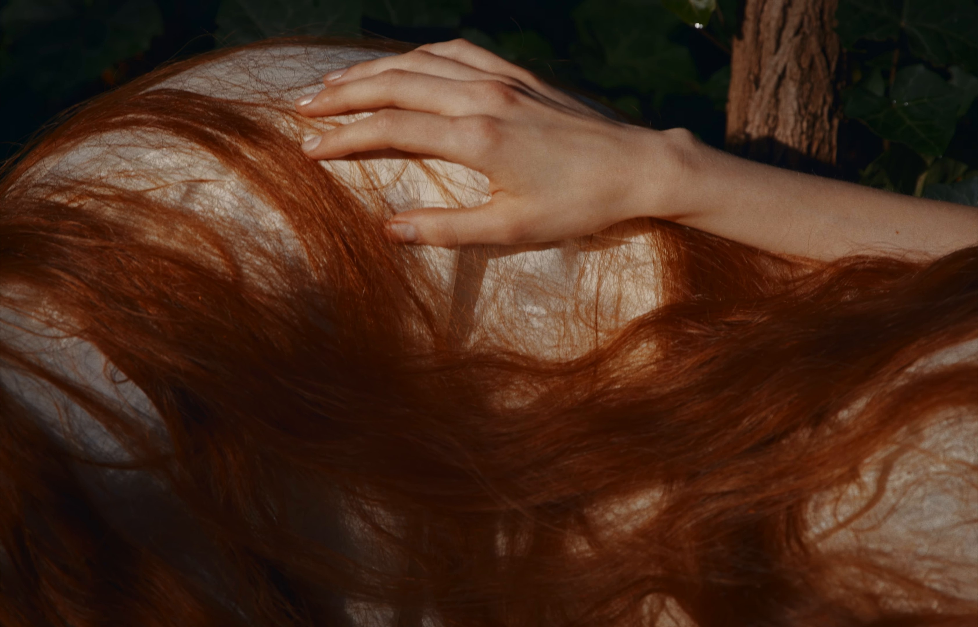 Arroyo Dorado (2024) —  shot,  lighting