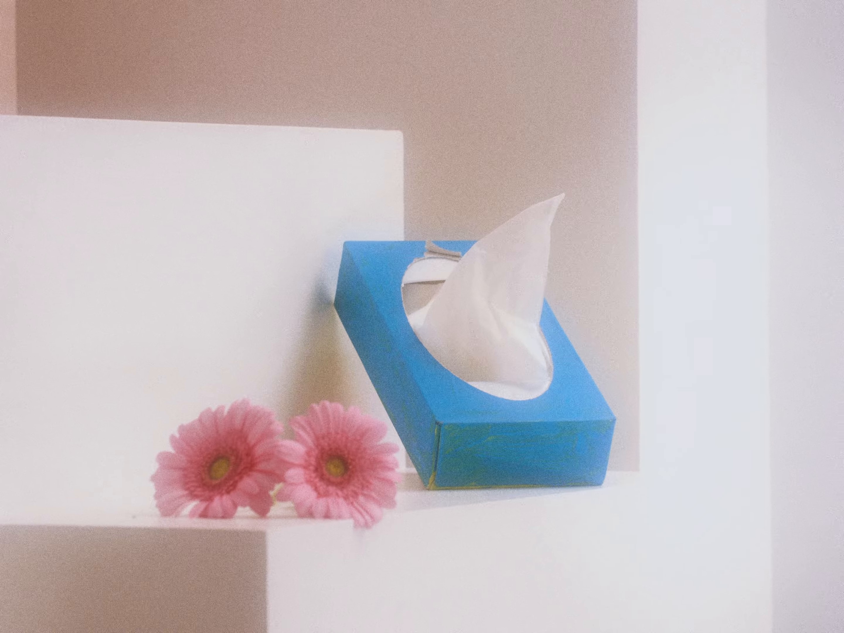 'Bul Bul Bul' (2024) —  shot,  lighting