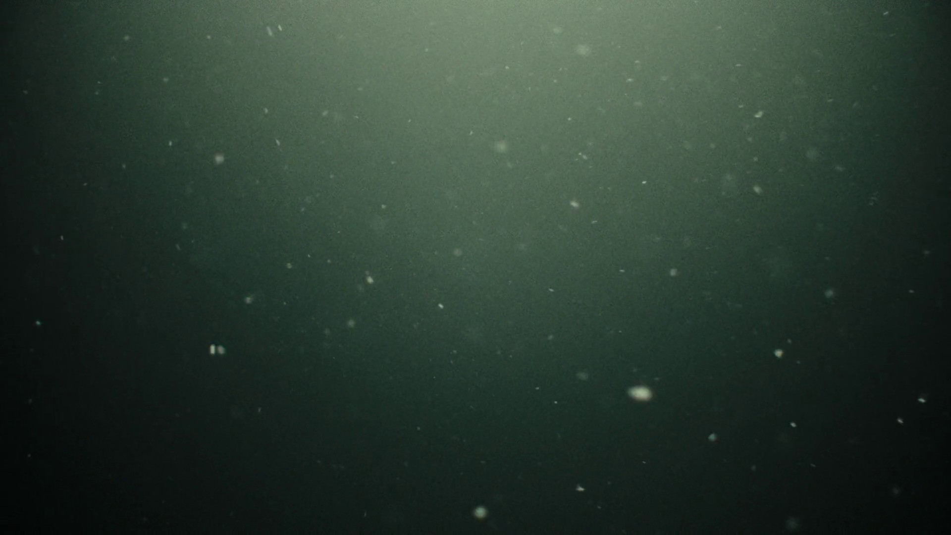 Him or her  (2022) —  shot,  lighting