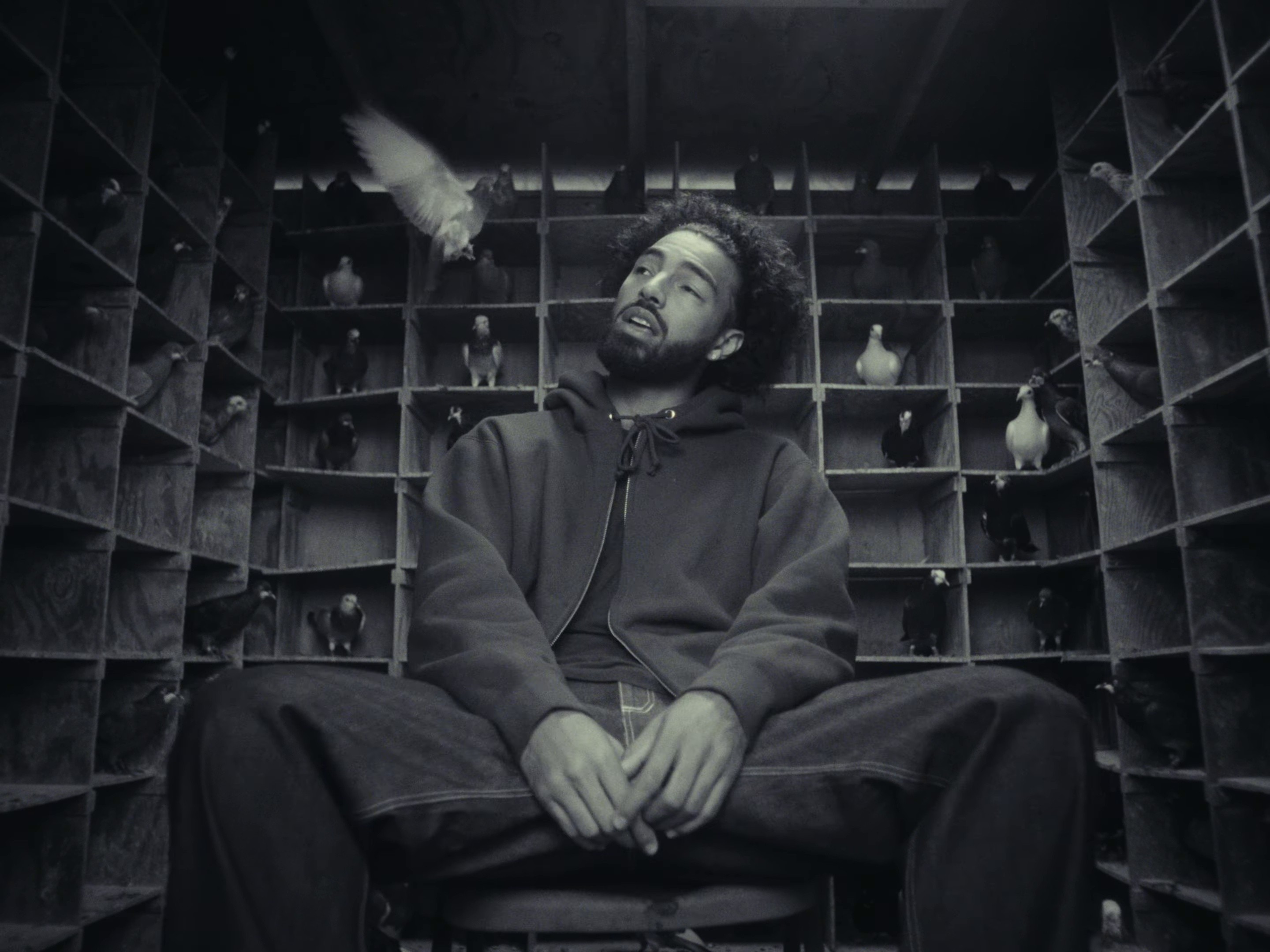 Red Roses (2024) —  shot,  lighting