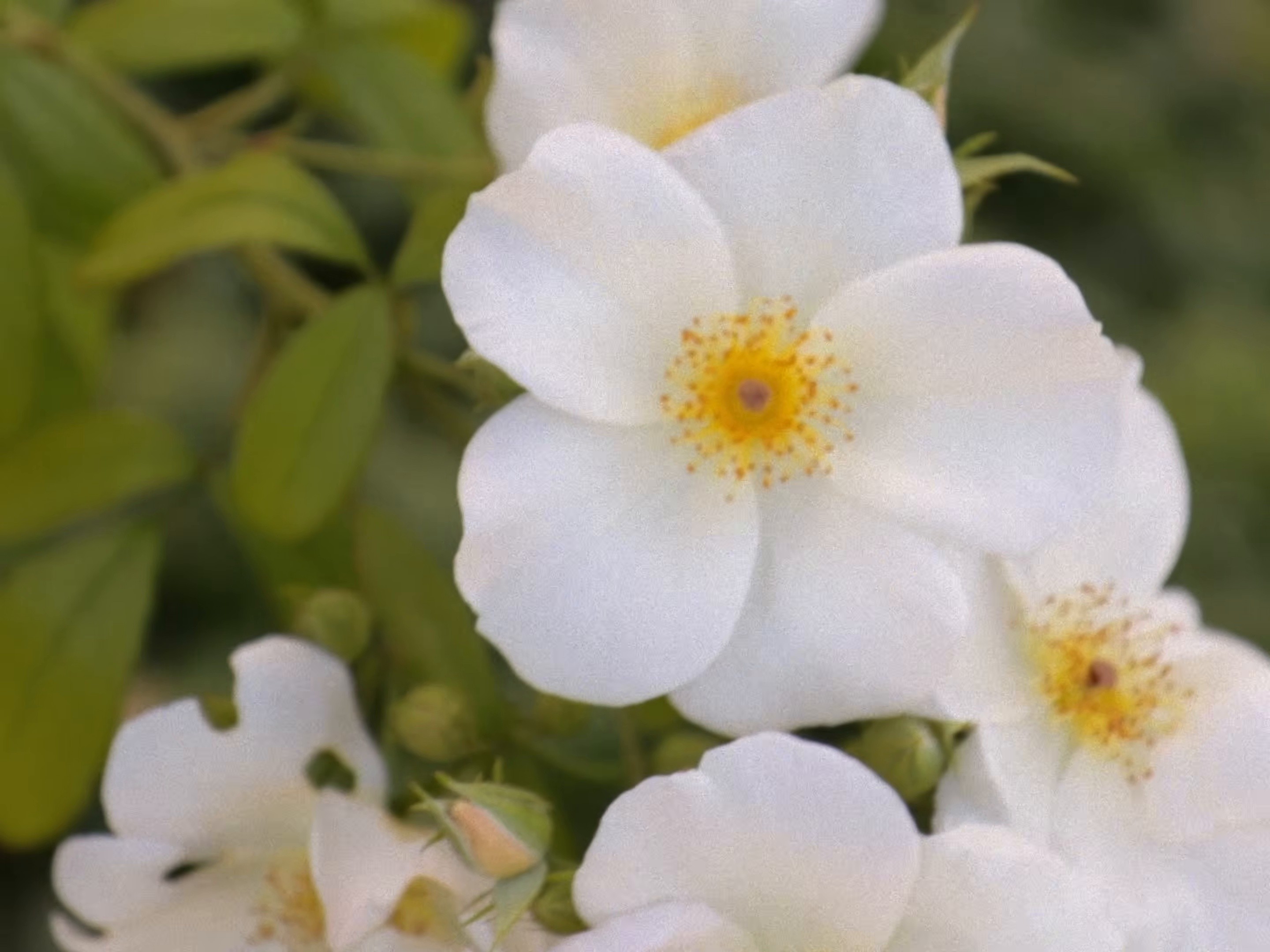 Par-delà (2025) —  shot,  lighting