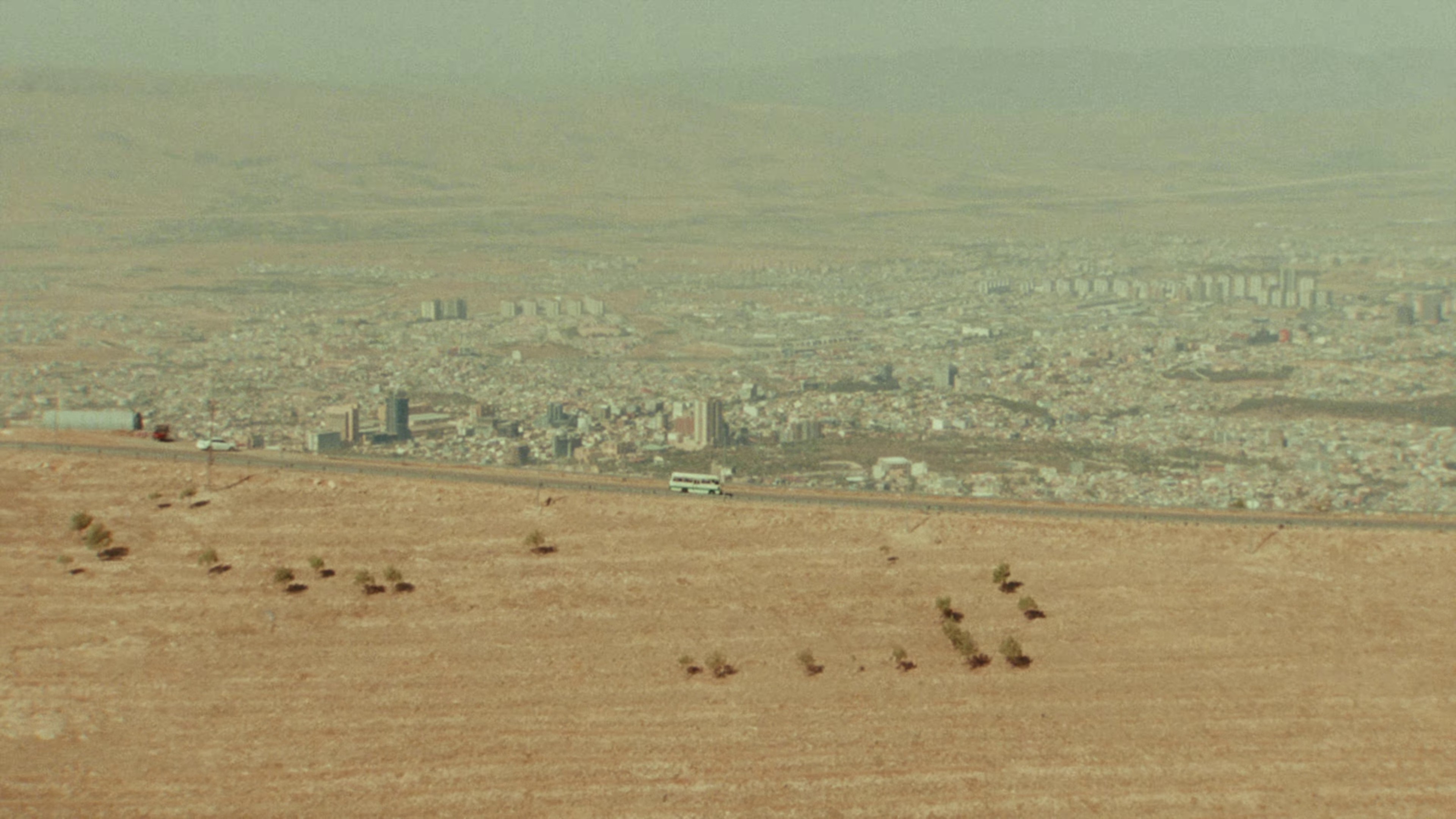 Zo (2023) —  shot,  lighting