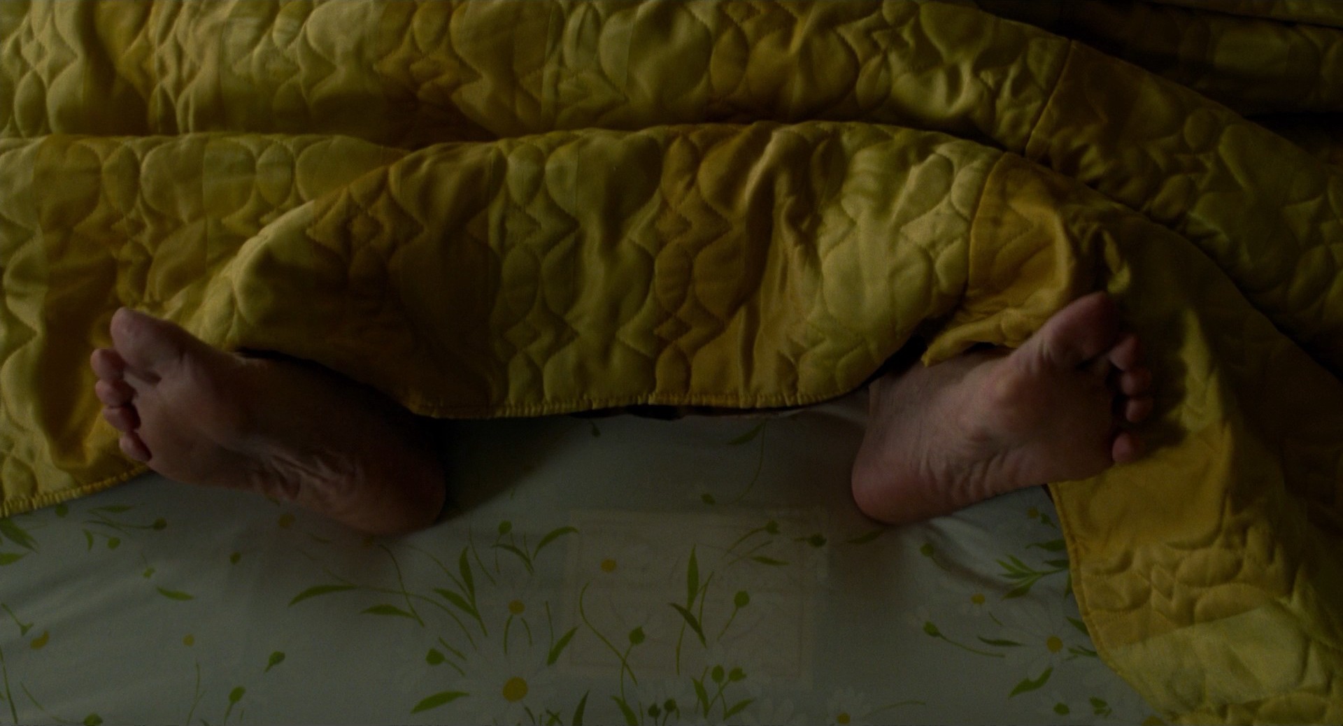 St. Vincent (2014) —  shot,  lighting