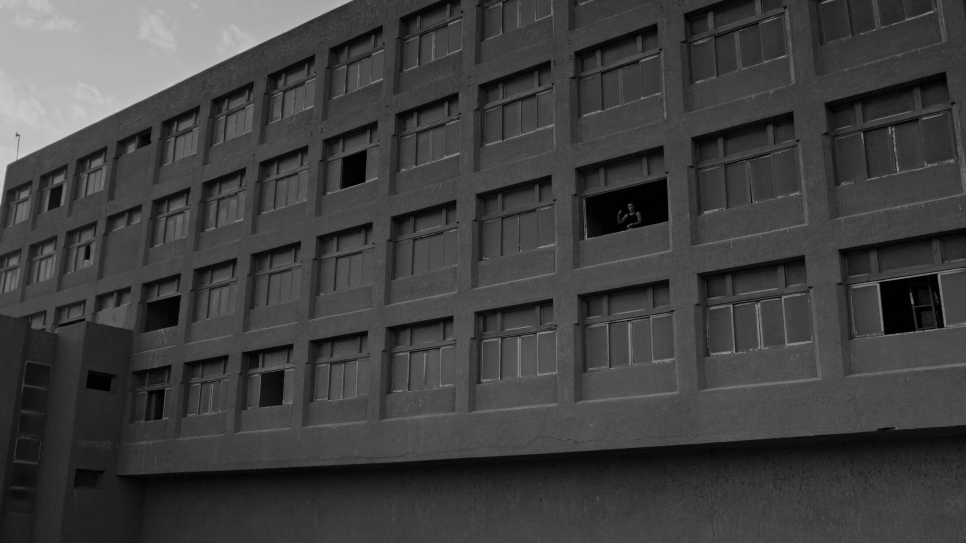 Bzns (2026) —  shot,  lighting