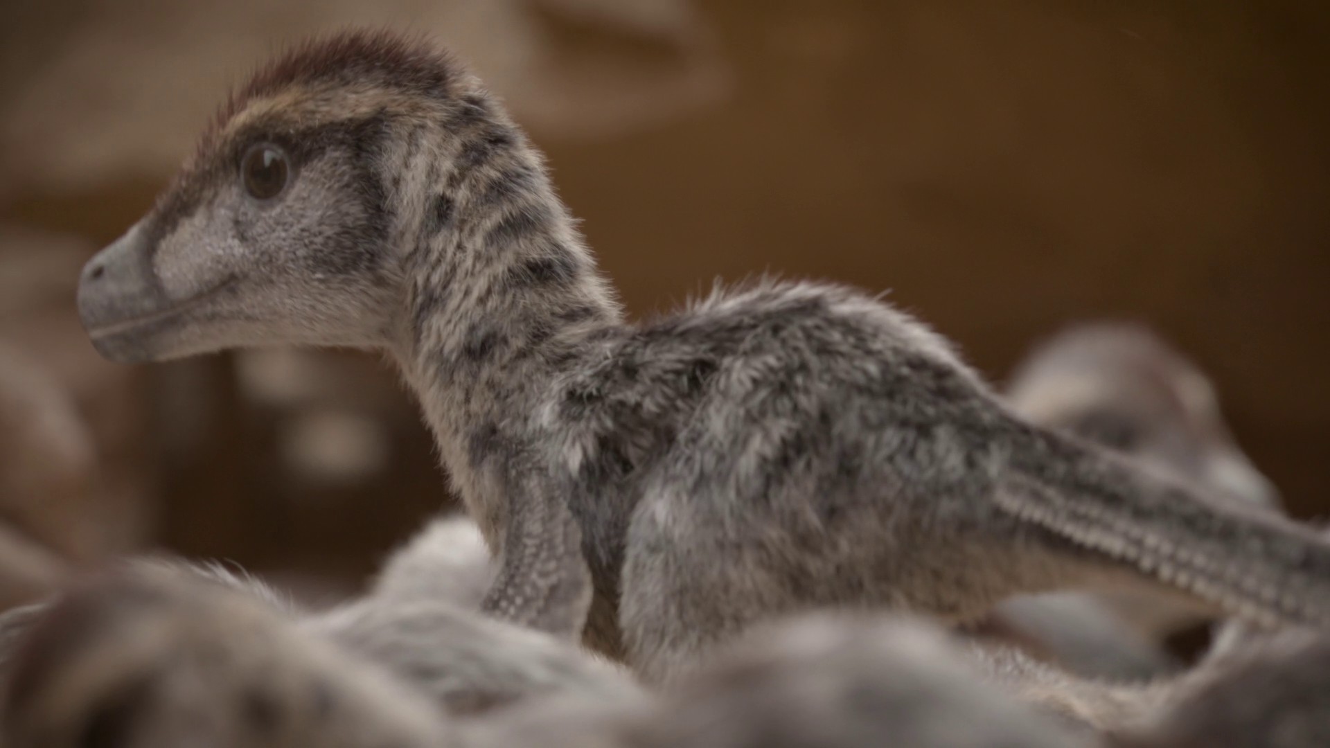 Islands (2023) —  shot,  lighting