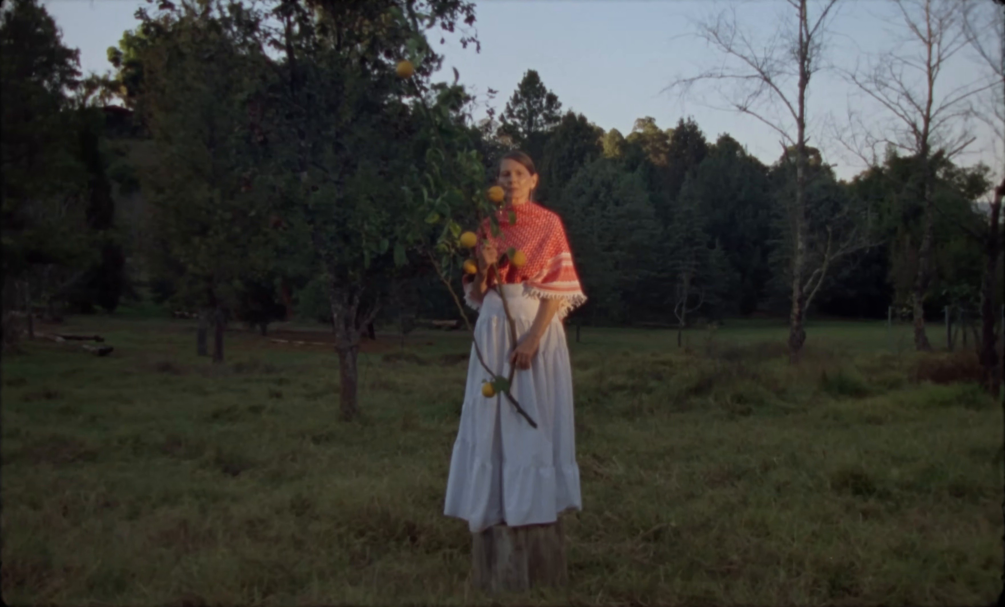 No Es Igual (2025) —  shot,  lighting