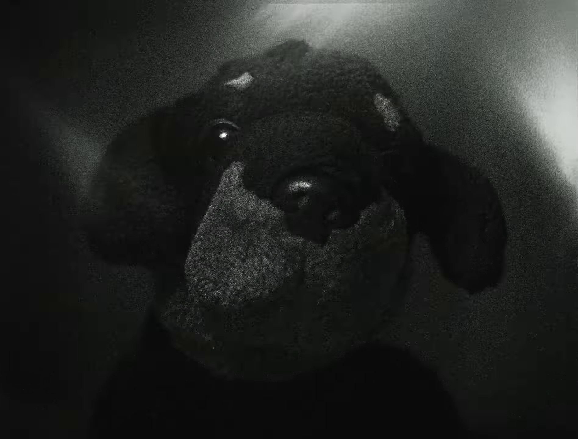 Jacked (2024) —  shot,  lighting