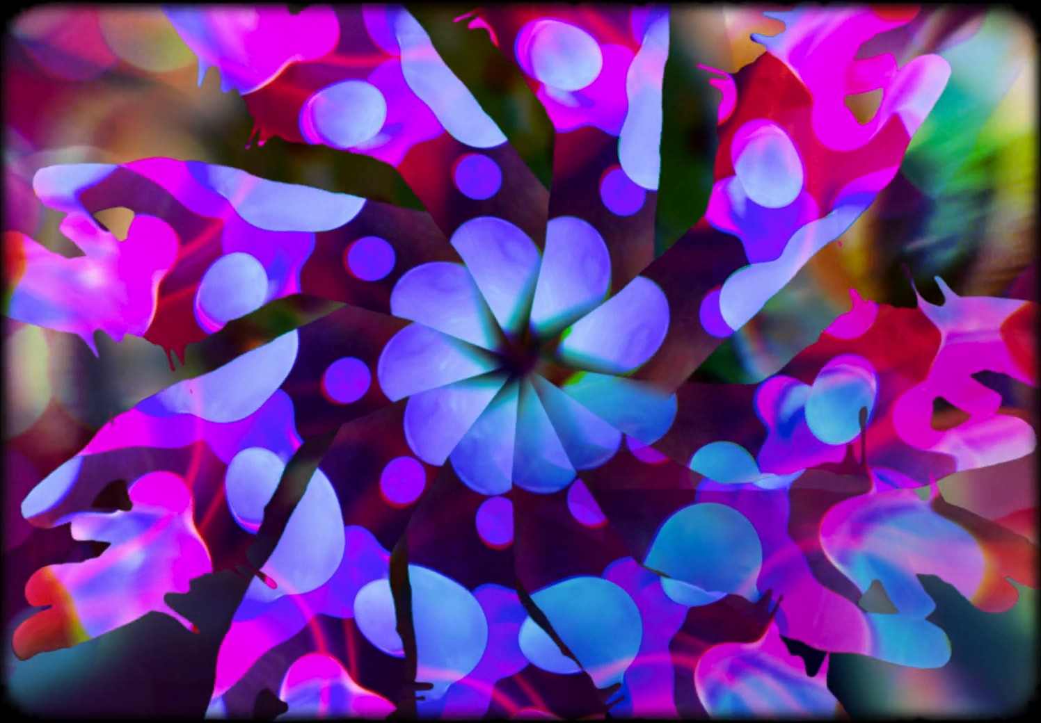 Drive-Away Dolls (2024) —  shot,  lighting