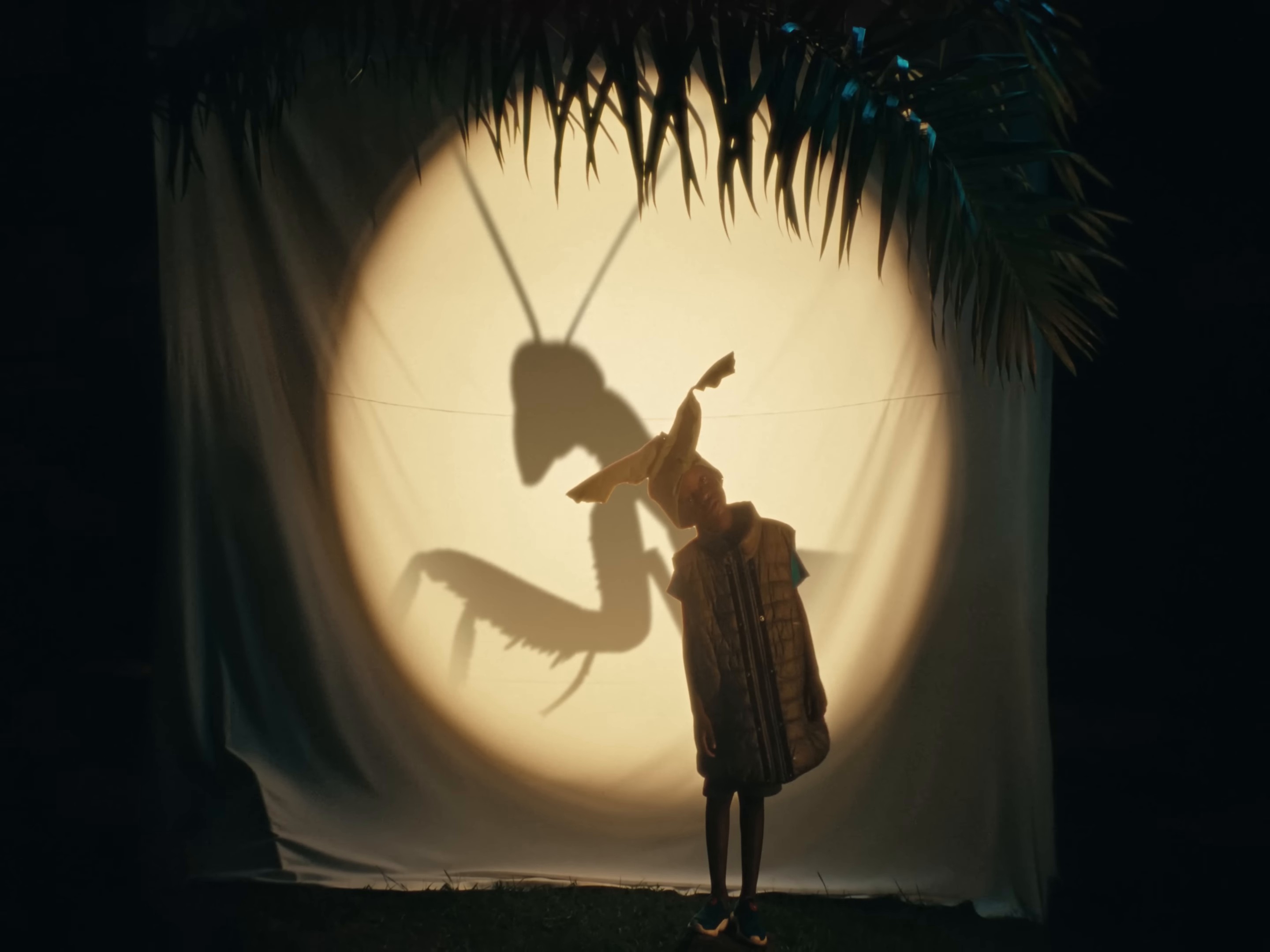 My Africa (Official Video) (2024) —  shot,  lighting