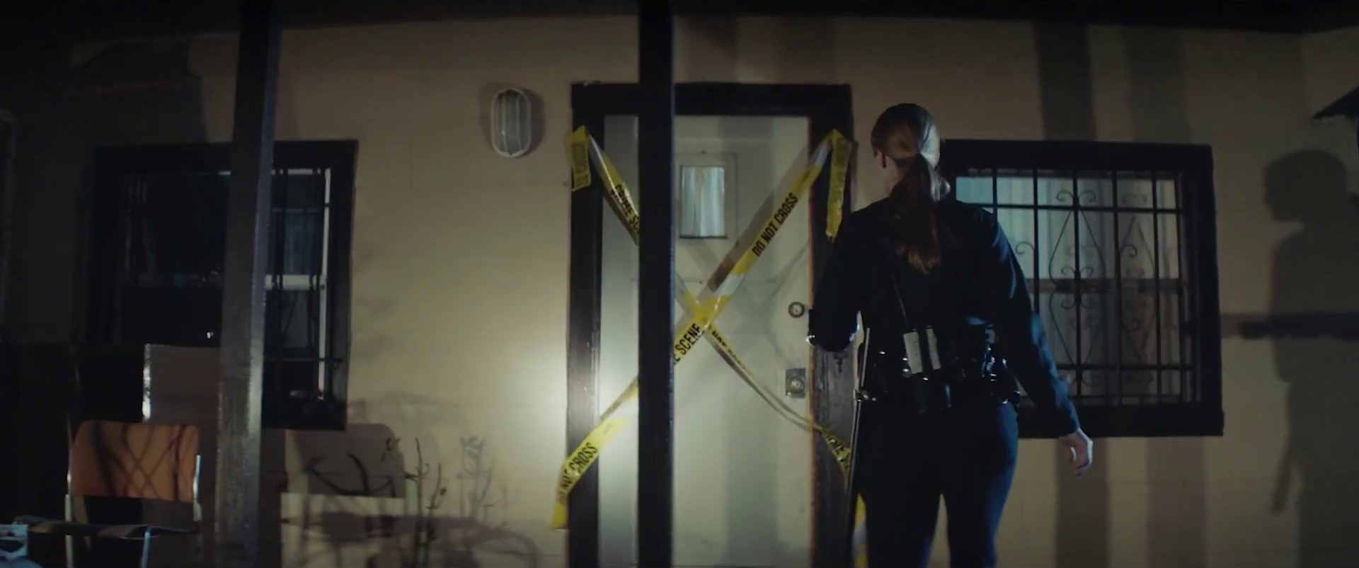 Call Of The Wild (2019) —  shot,  lighting