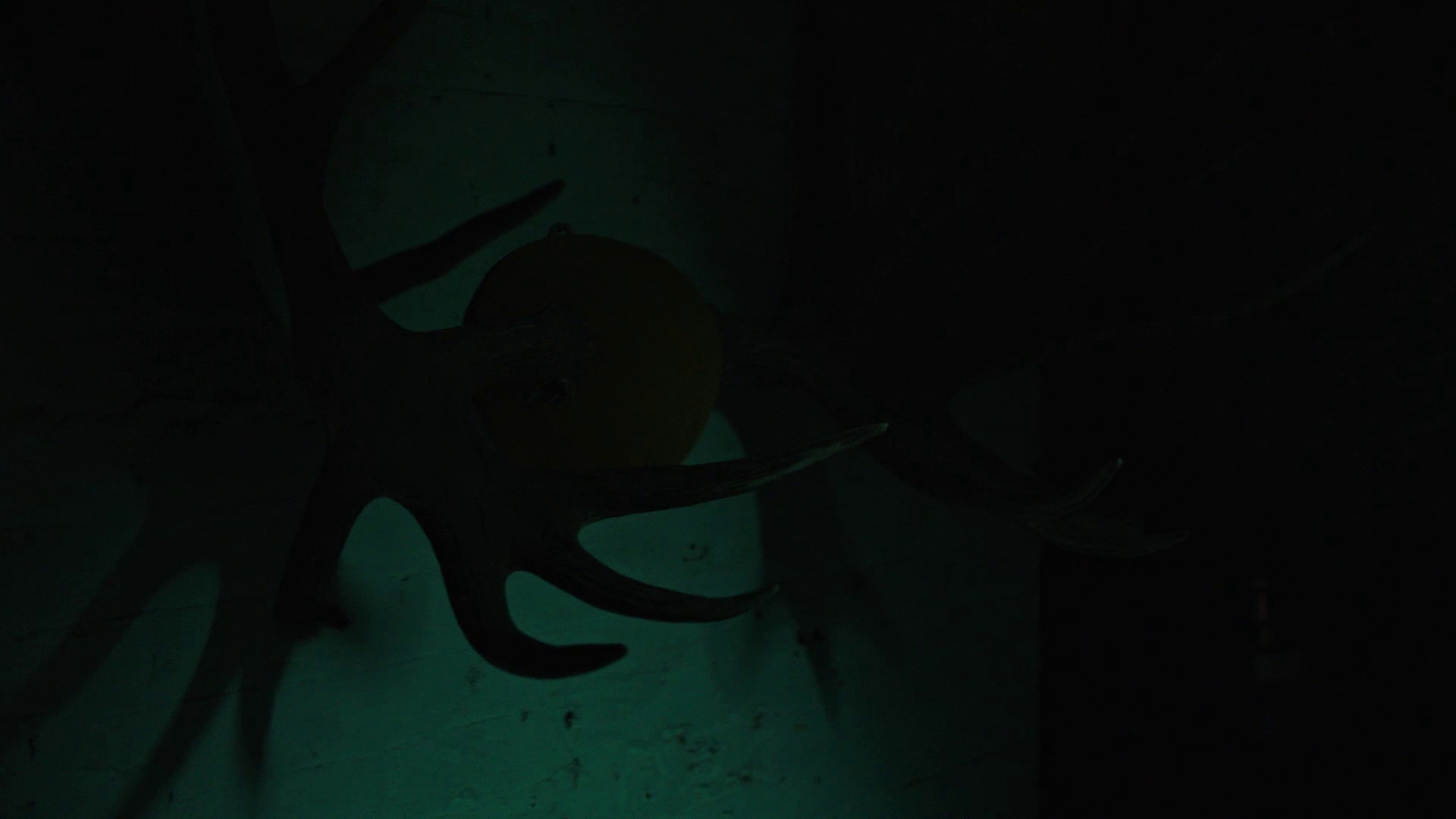 Alice in Slaughterland (2018) —  shot,  lighting