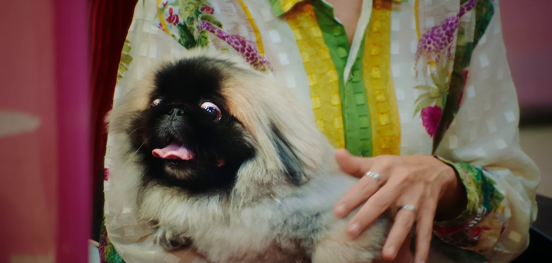 The Feeling You Get (2024) —  shot,  lighting