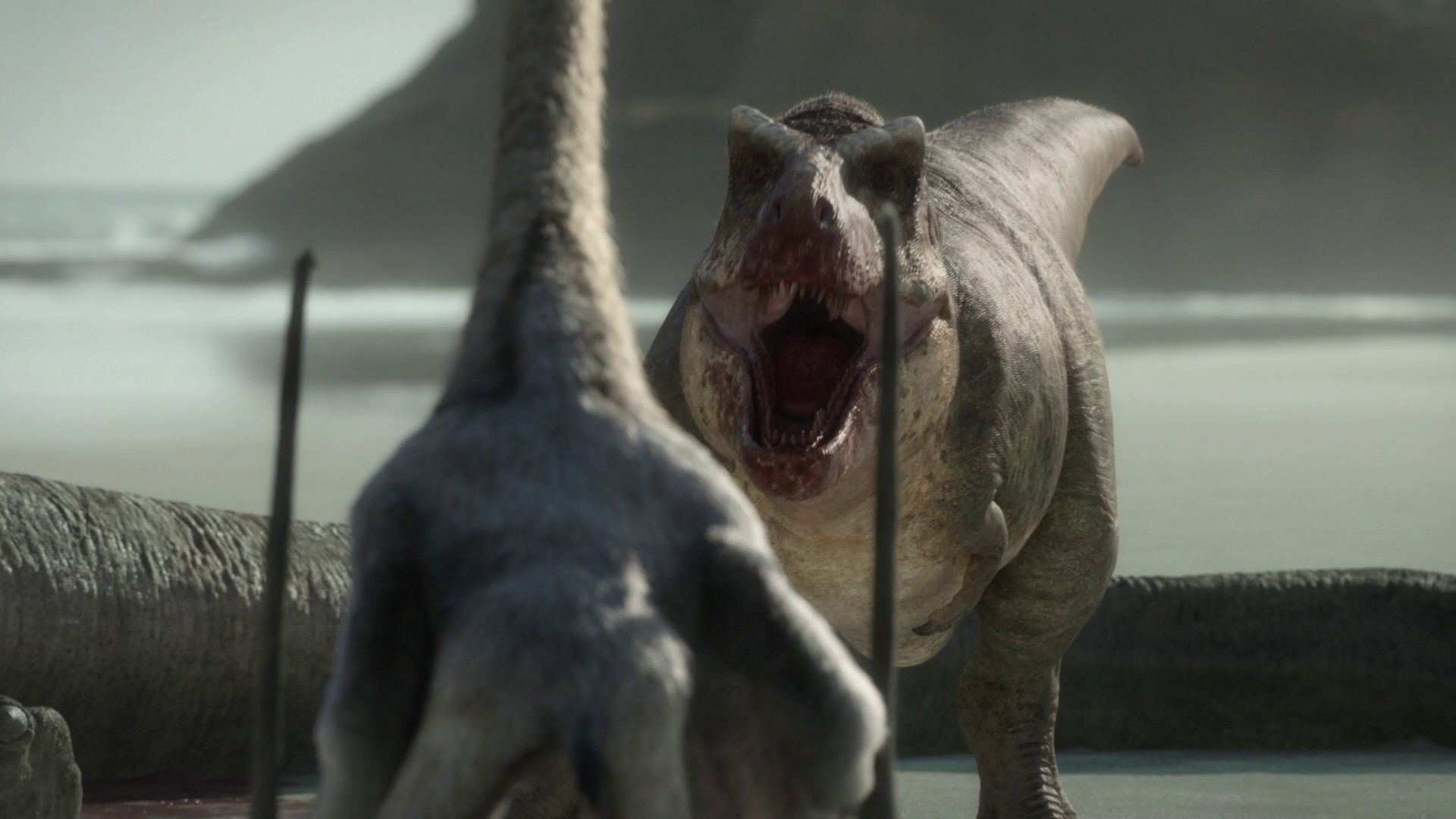 Islands (2023) —  shot,  lighting