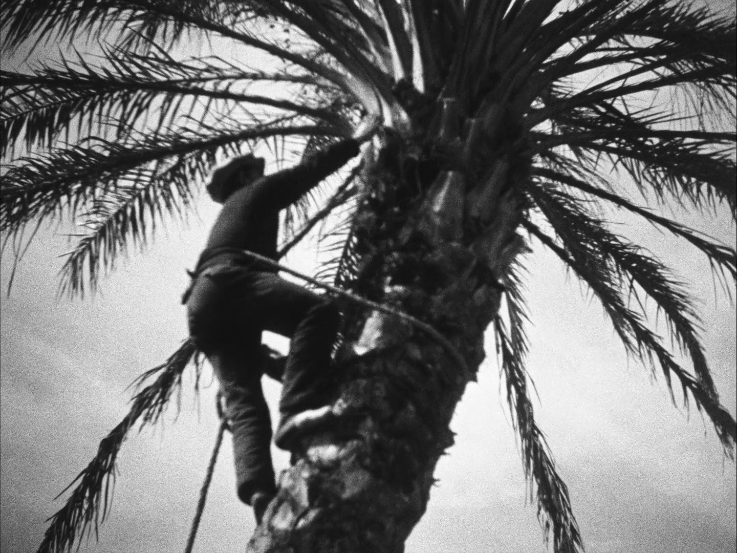 À Propos de Nice (1930) —  shot,  lighting