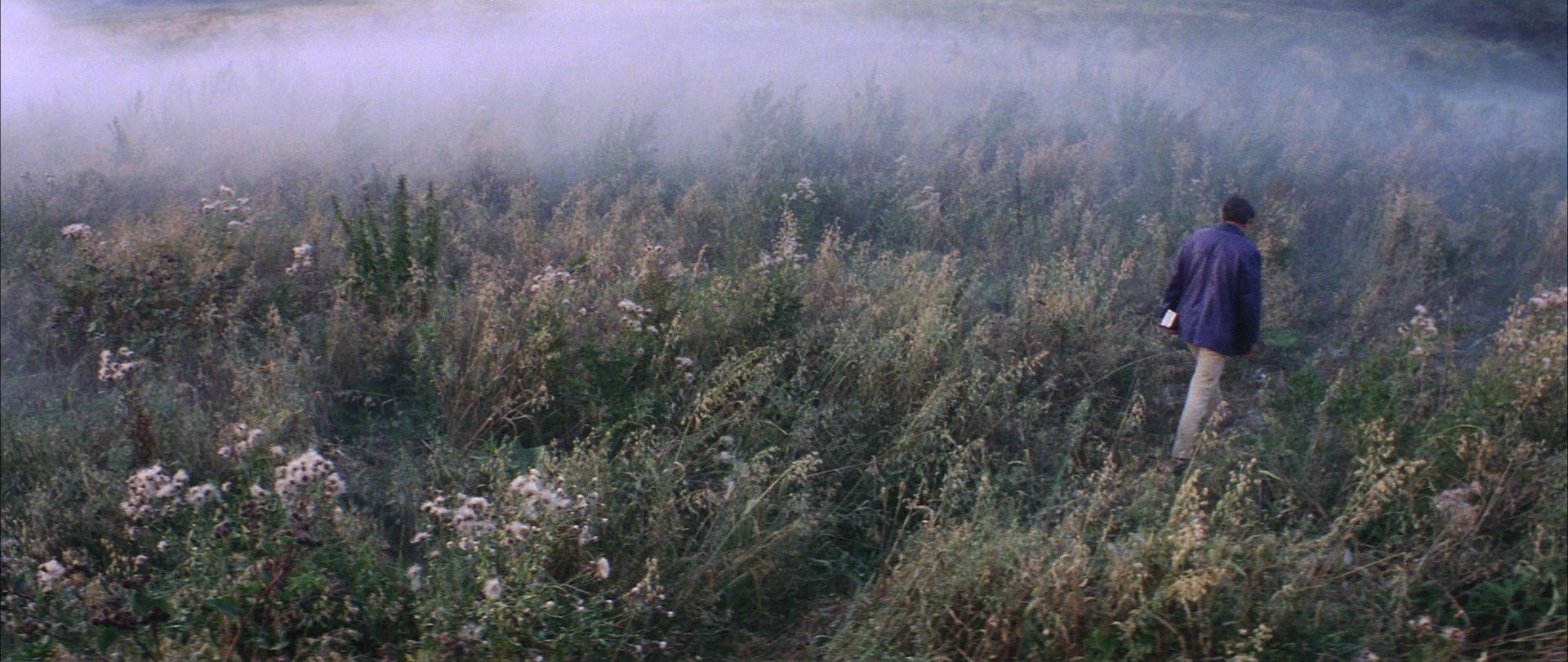 Solaris (1972) —  shot,  lighting