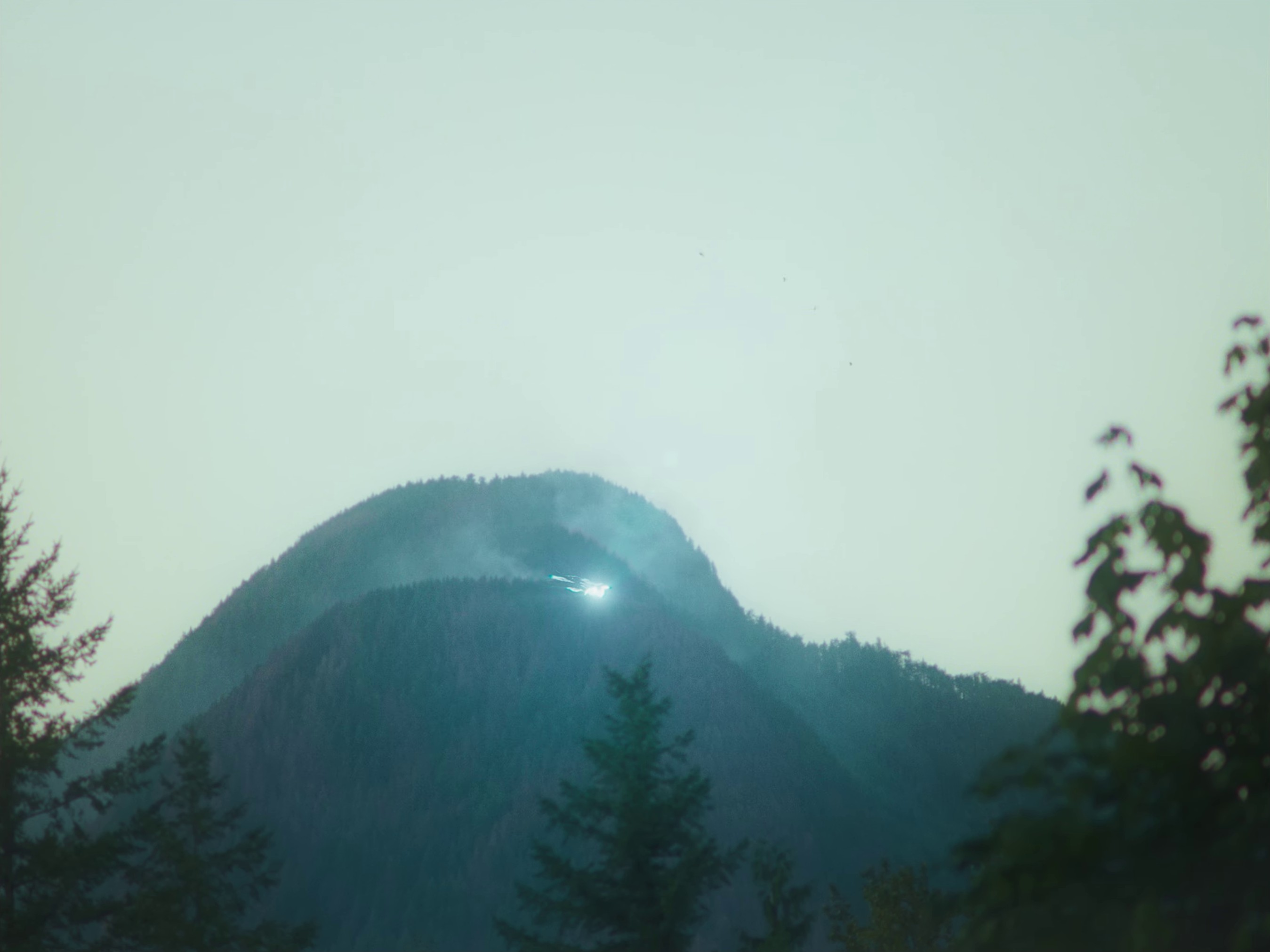 AA BOUQUET FOR YOUR 180 FACE (2024) —  shot,  lighting