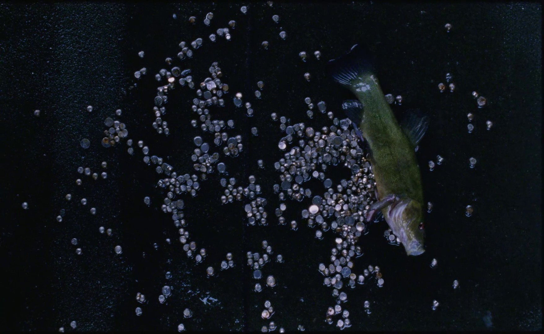 Fata morgana (2017) —  shot,  lighting