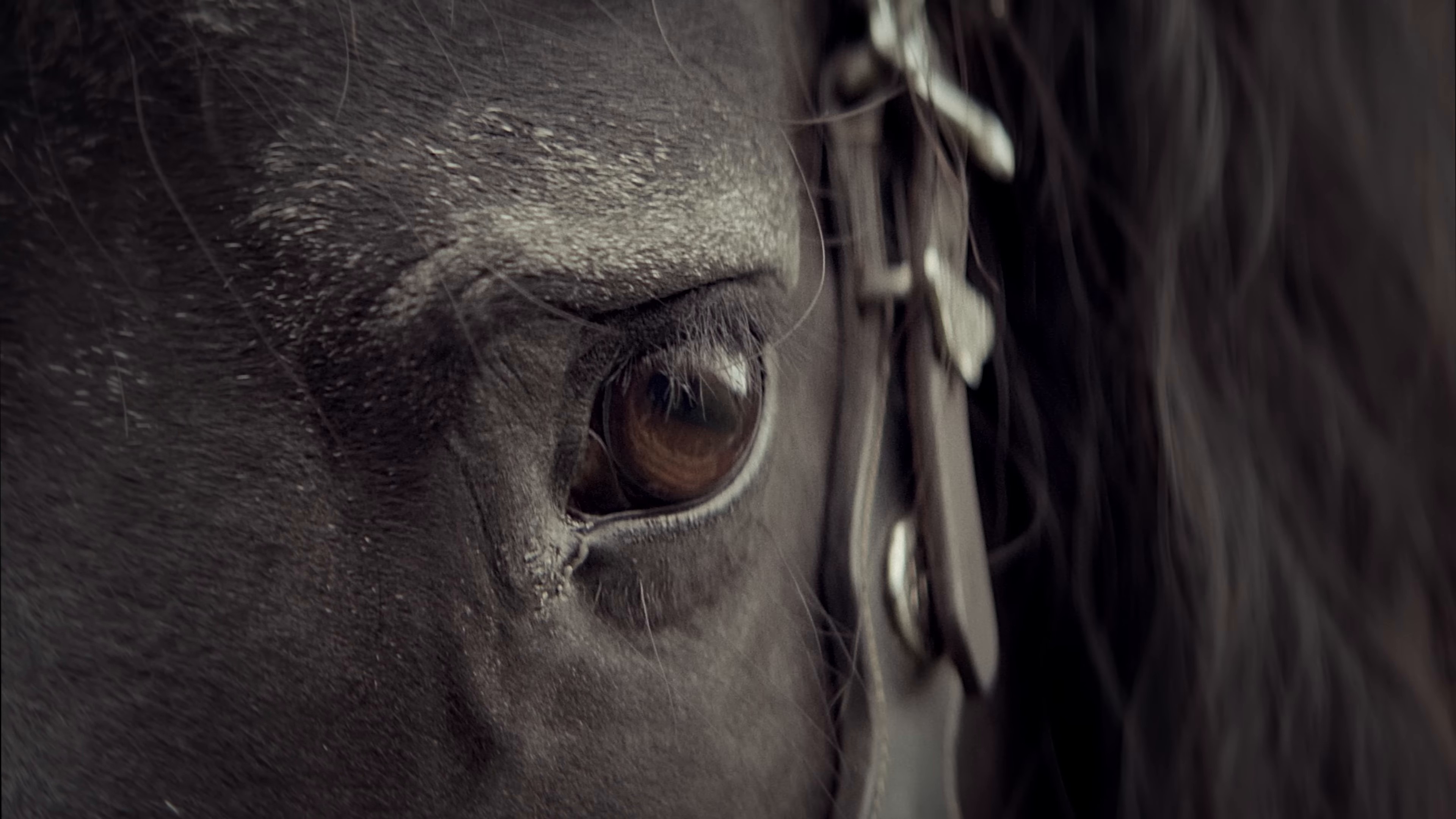 Cry Baby (2024) —  shot,  lighting