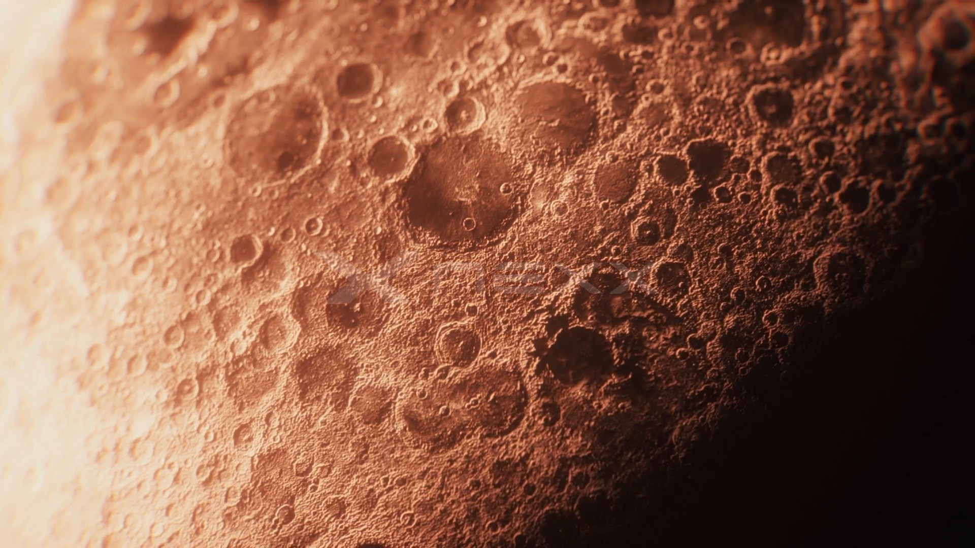 Nexx X.LIFETOUR (2024) —  shot,  lighting